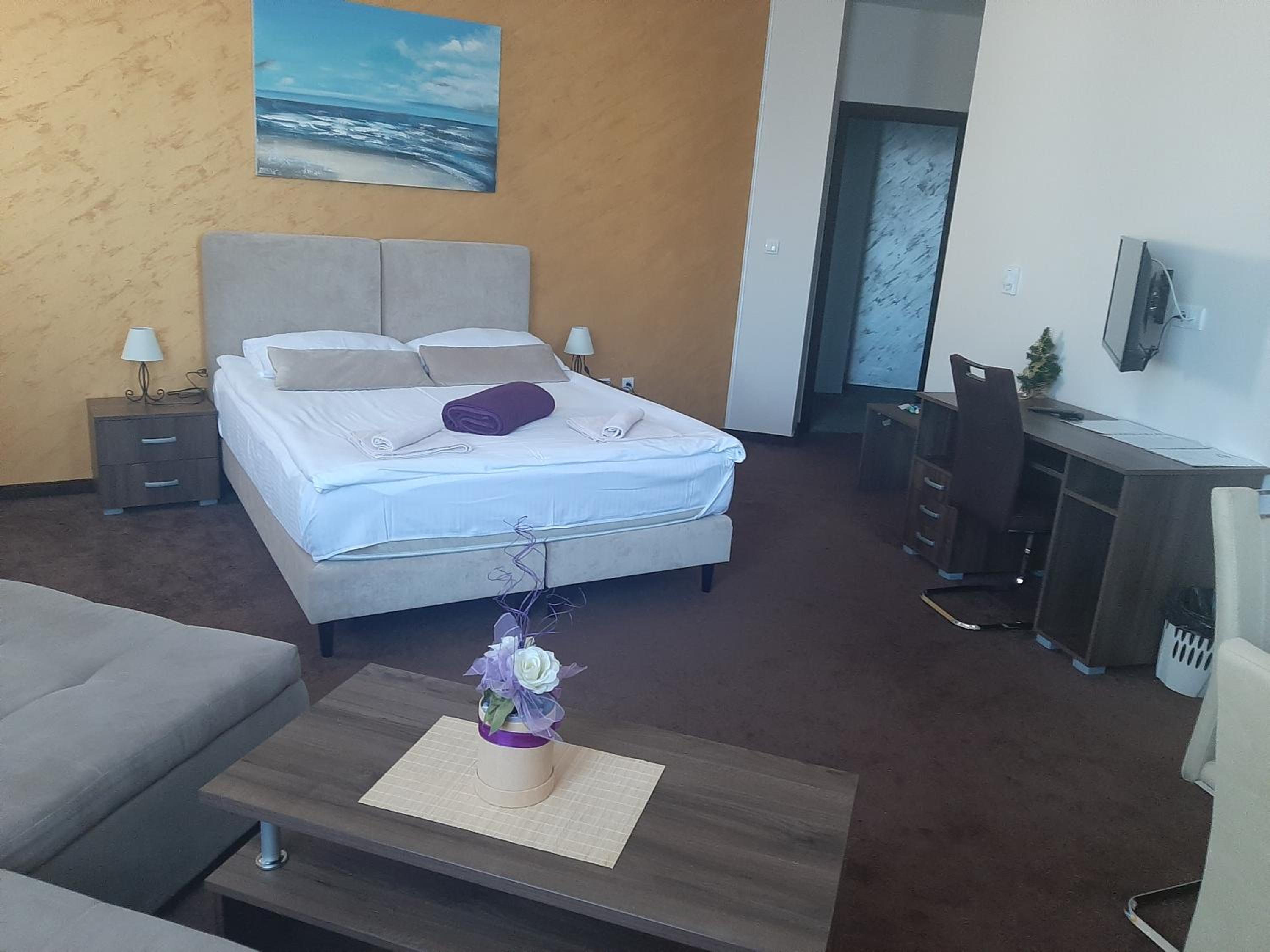Deluxe Suite photo 2