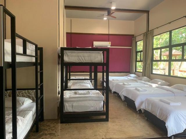 10-Bed Mixed Dormitory Room