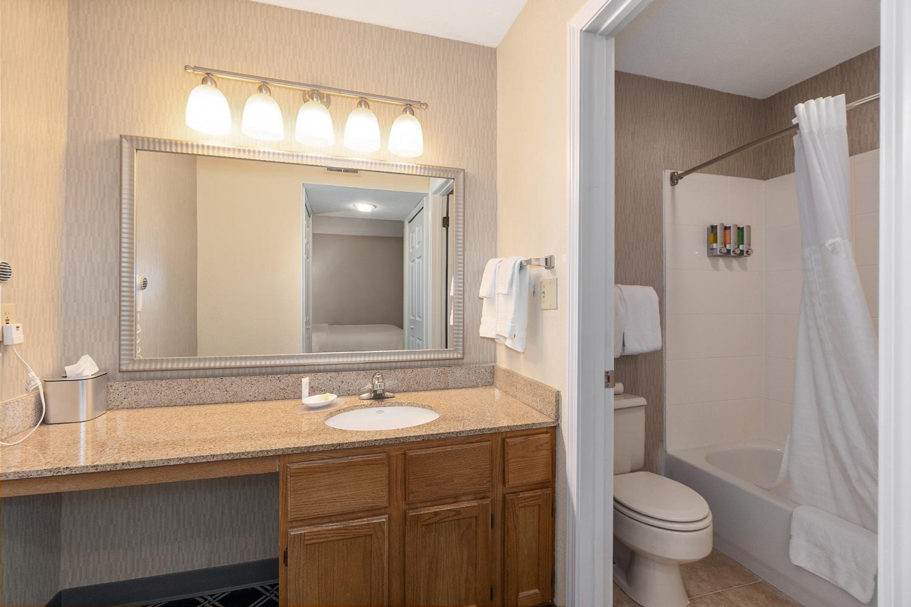 King Studio Suite photo 3