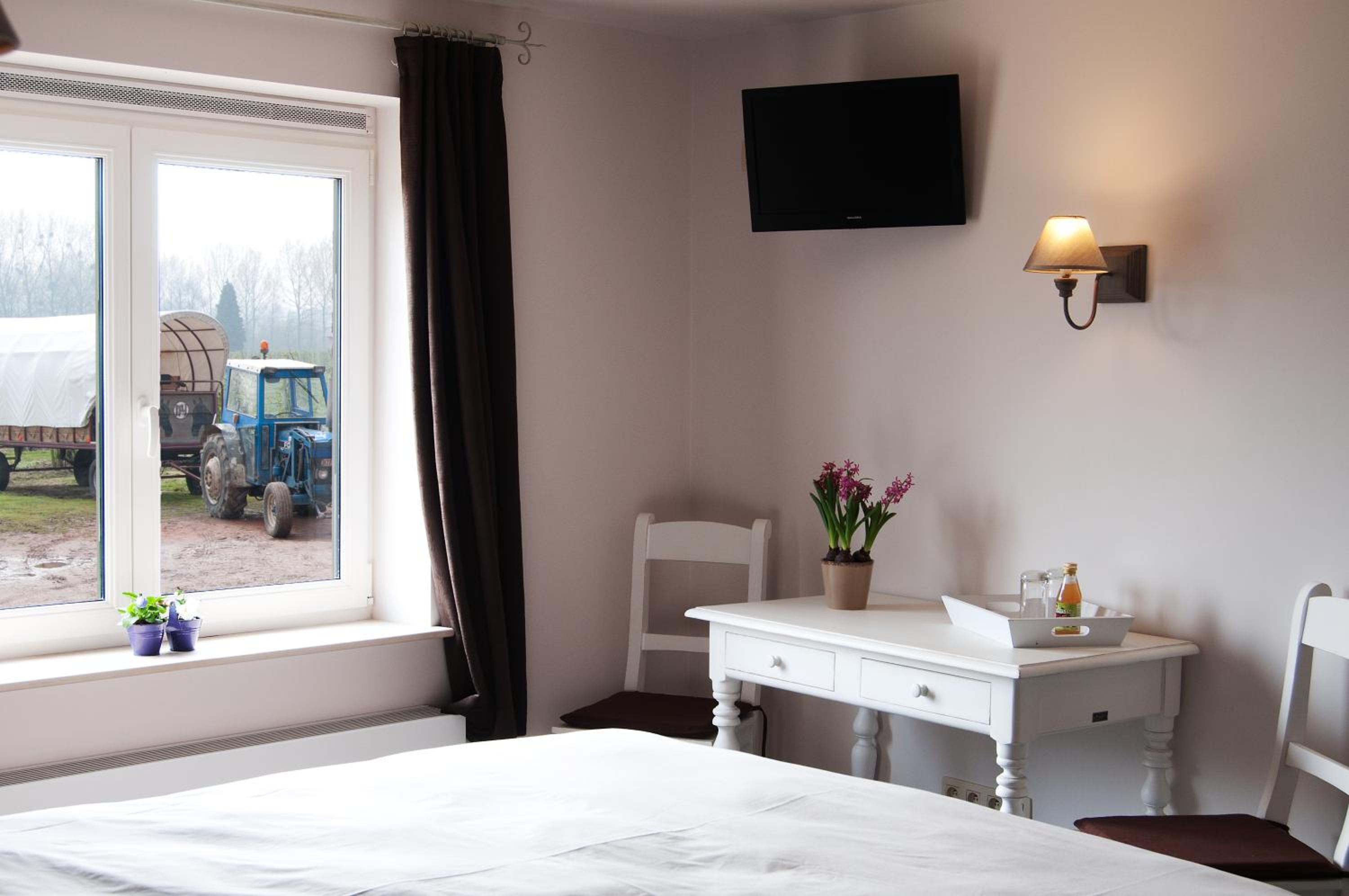 Double Room photo 1