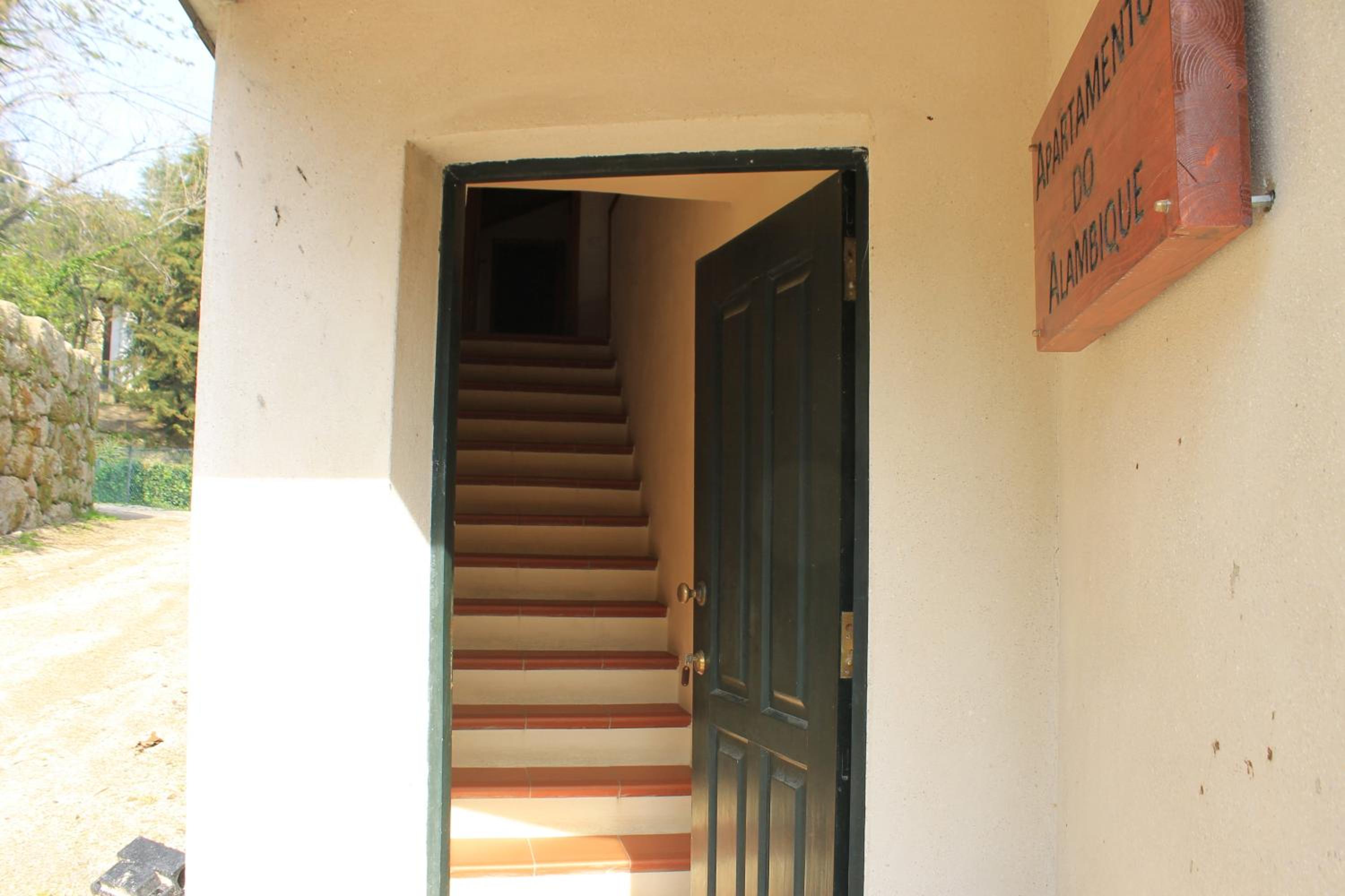 Family Apartment - Photo 5