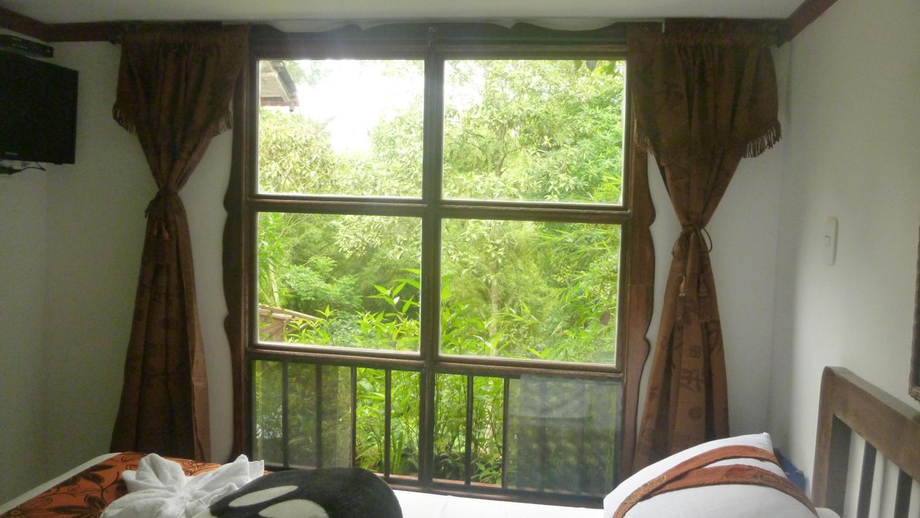 Double Room With Garden View photo 2