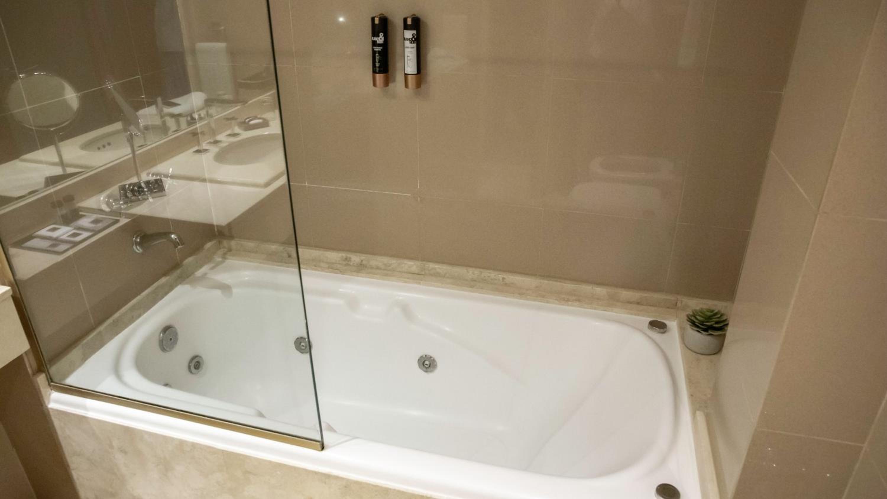 Superior Suite photo 2