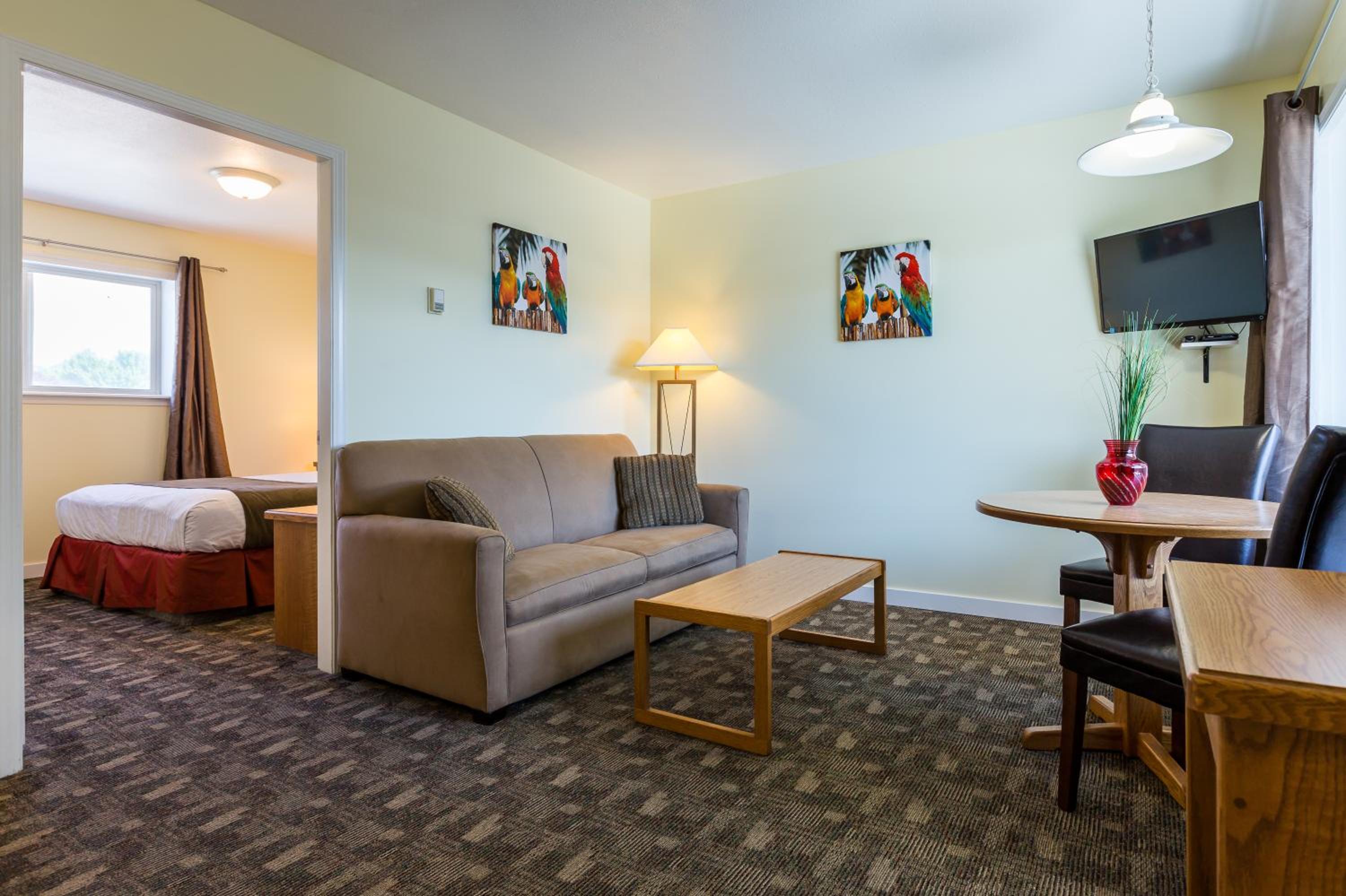 Suite - Photo 1