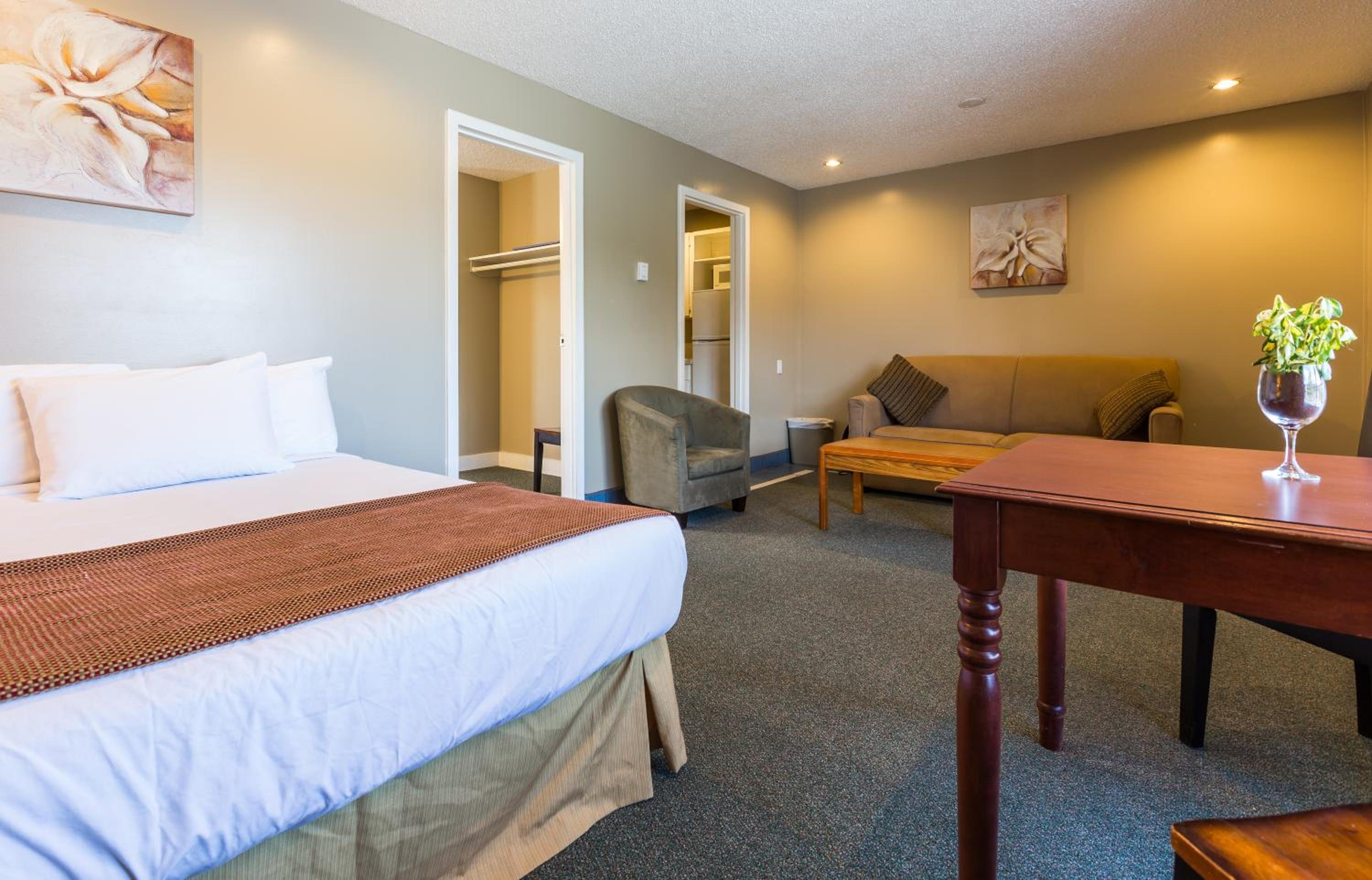 One-Bedroom Suite - Photo 4