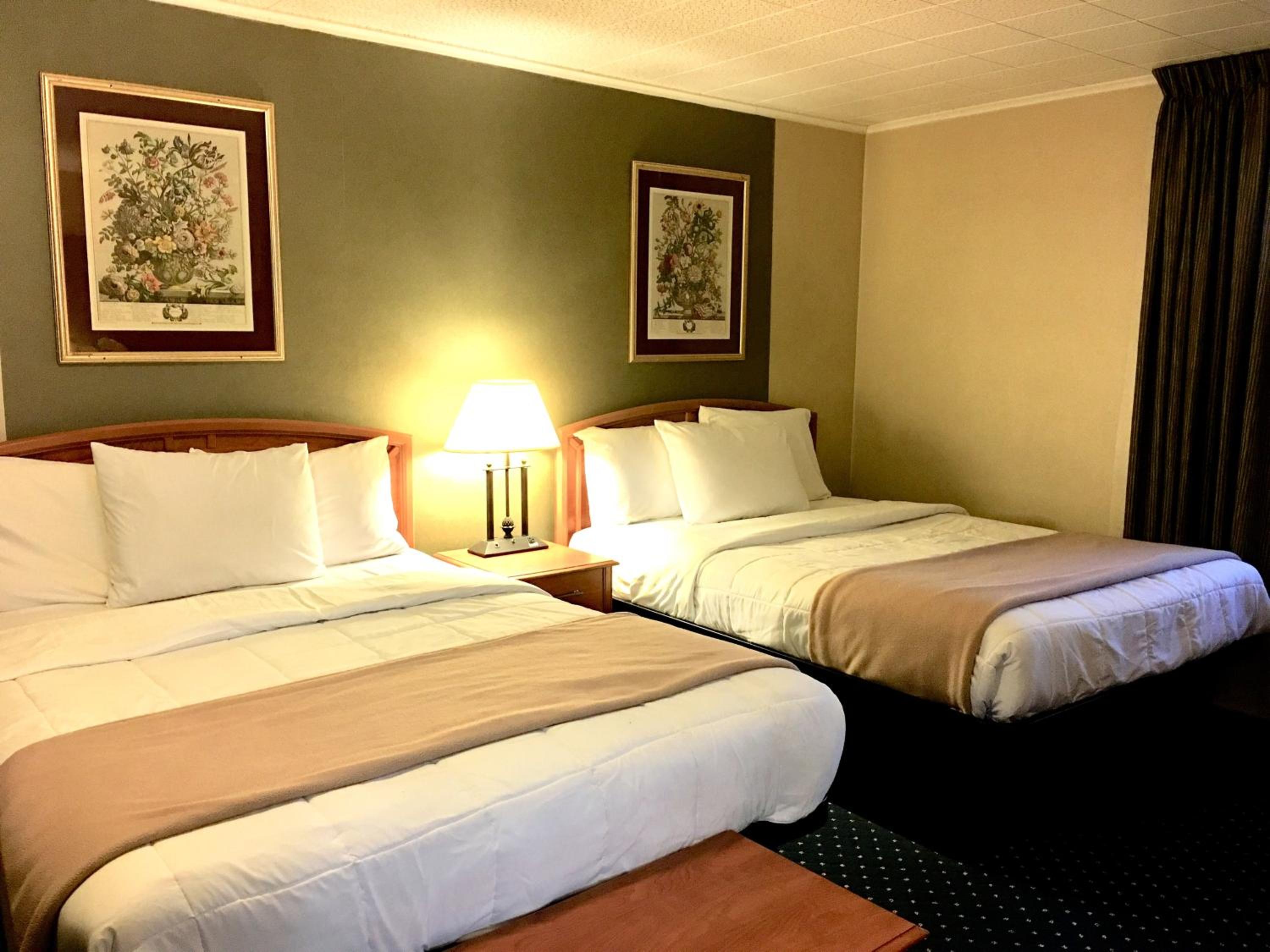 Standard Double Room with Two Double Beds - Photo 1