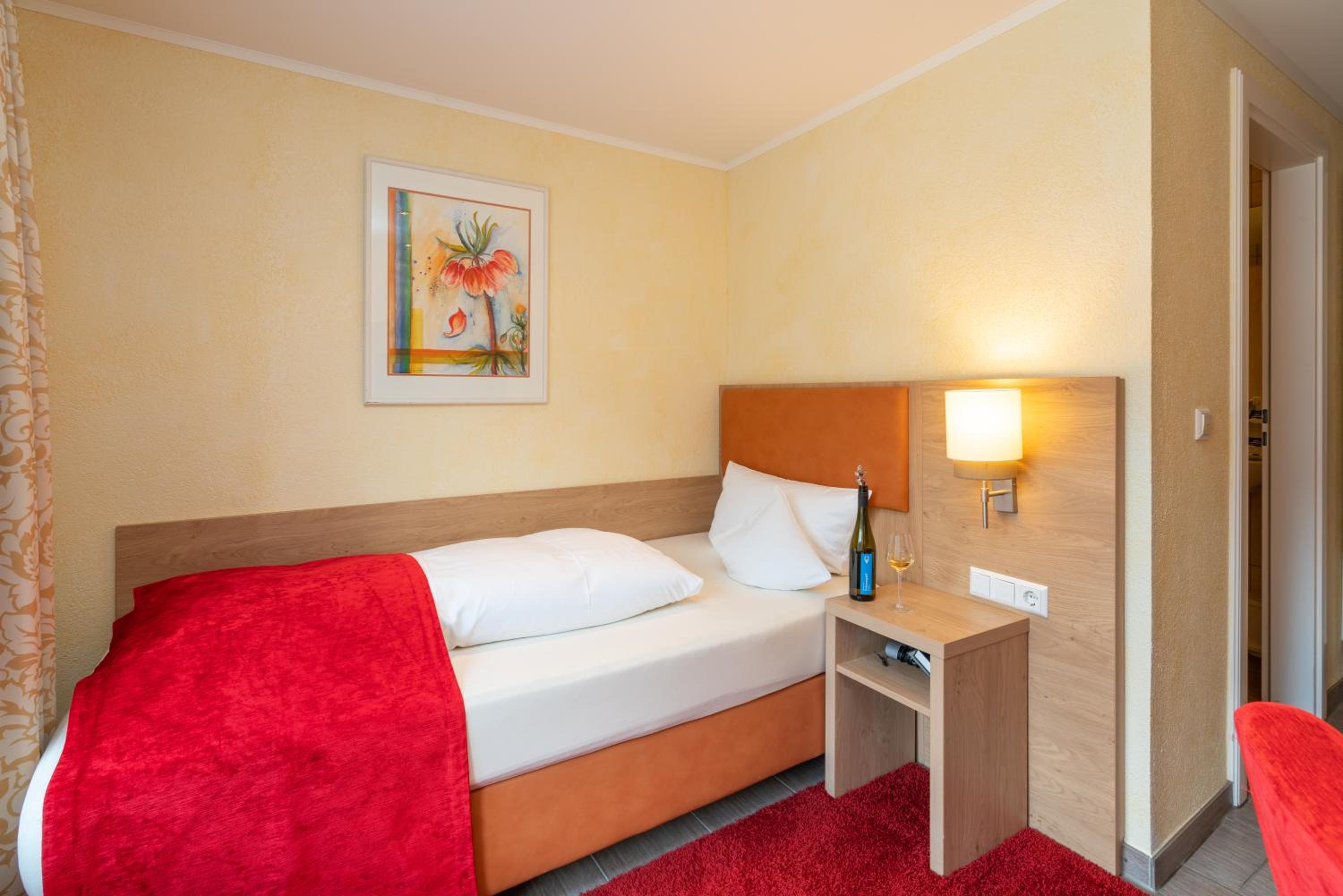 Comfort Single Room with view of Rhine River