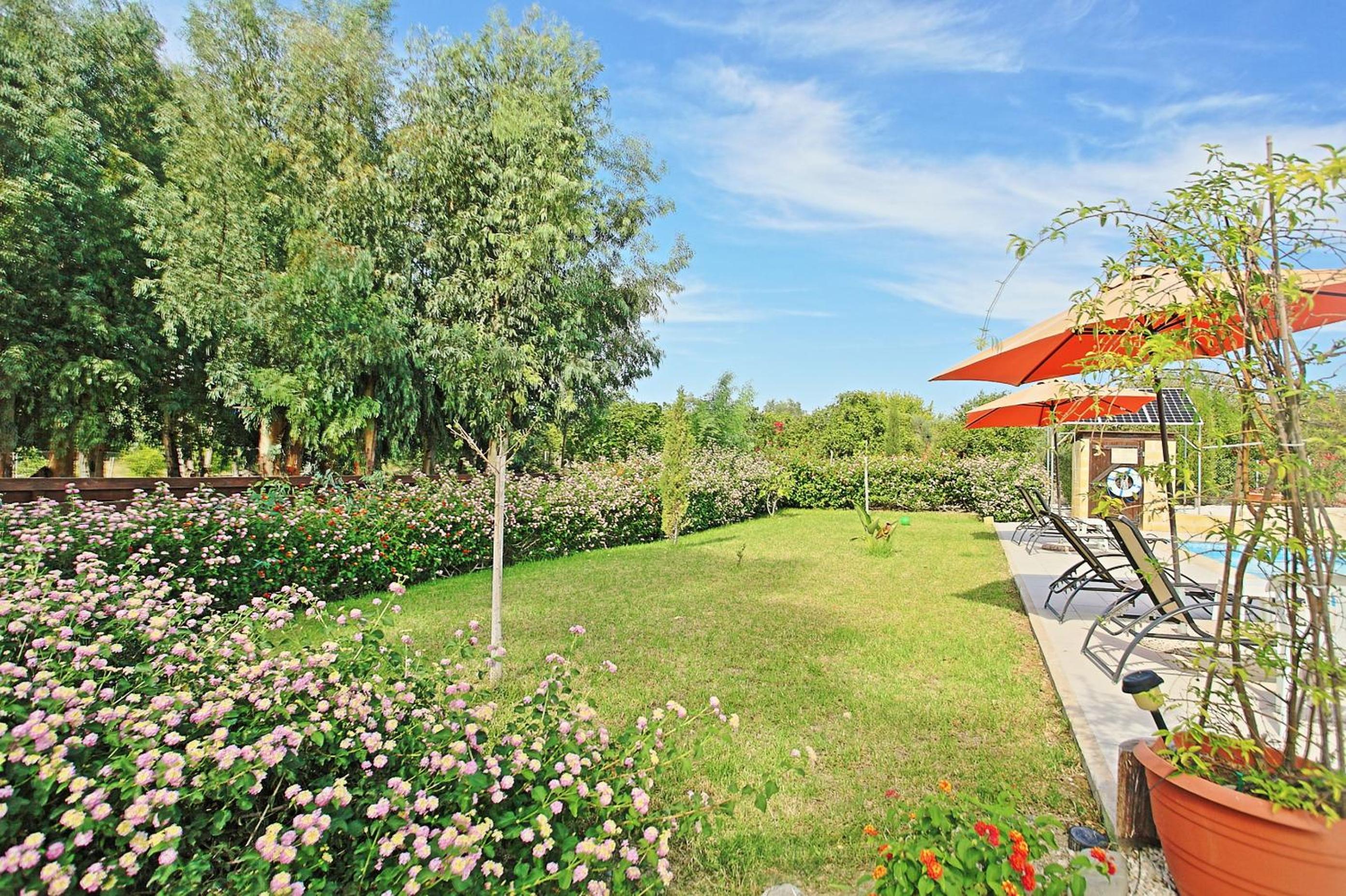 Villa with Private Pool photo 2