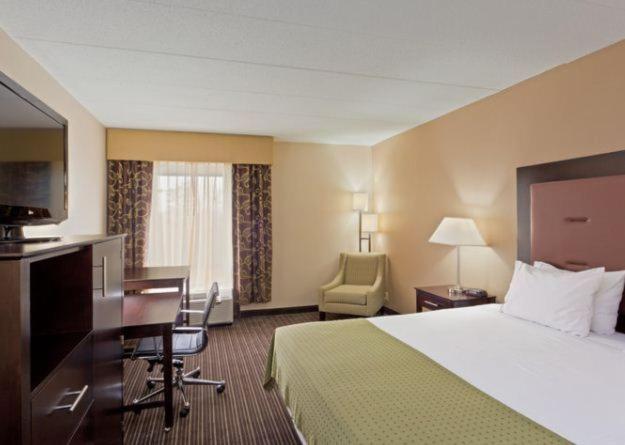 King Suite - Photo 1