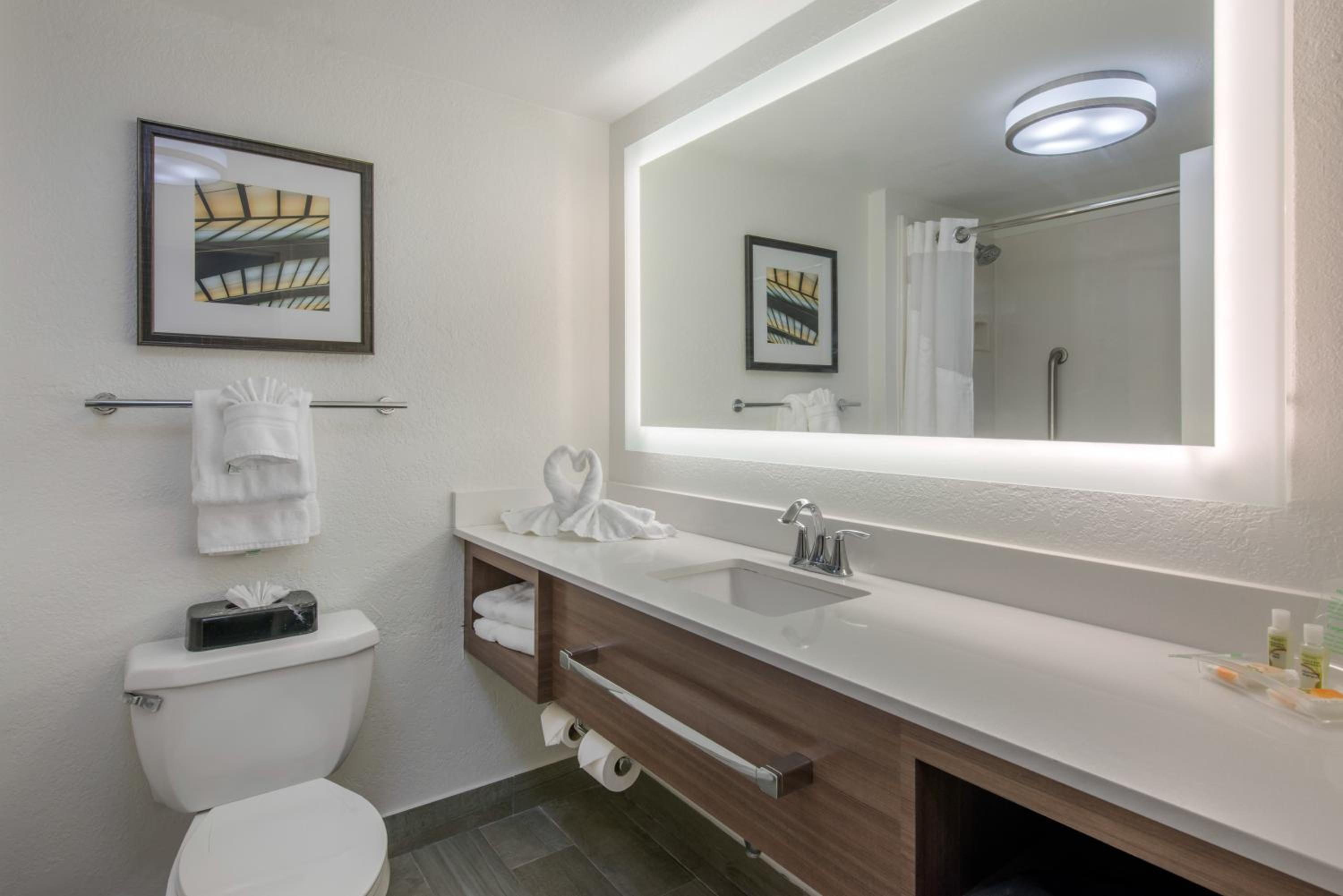 King Suite with Walk-In Shower - Photo 3