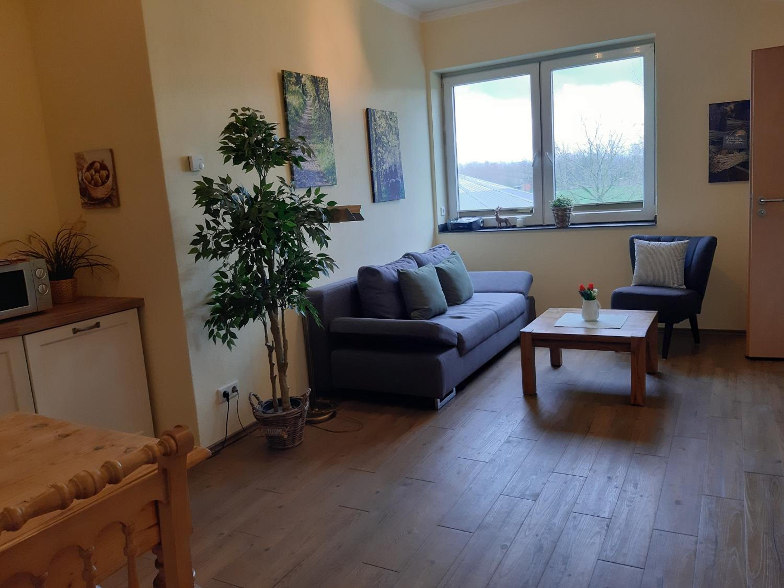 One-Bedroom Apartment photo 1