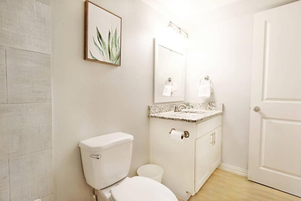 One-Bedroom Apartment - Photo 8