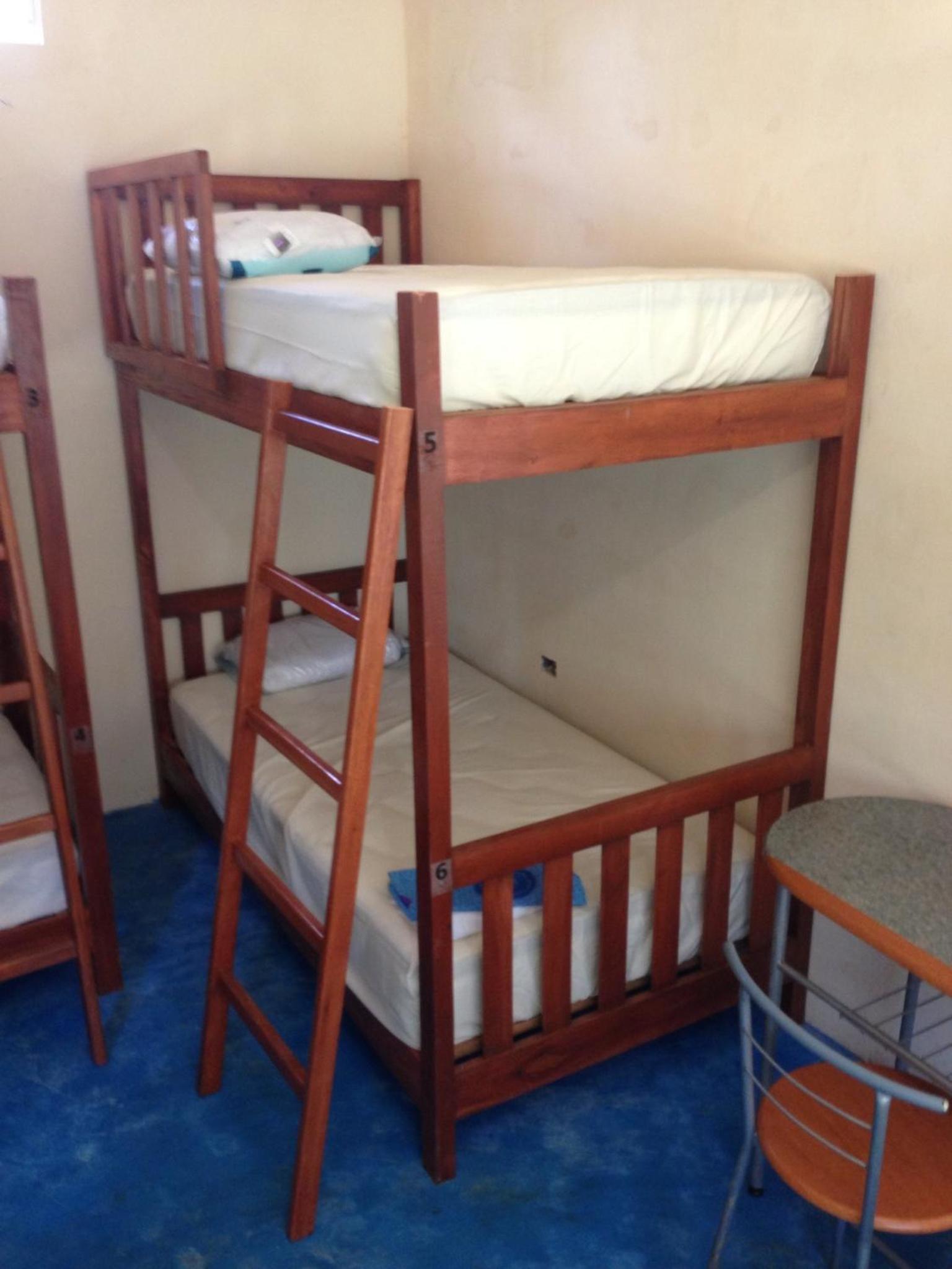 Single Bed in Mixed Dormitory Room photo 3