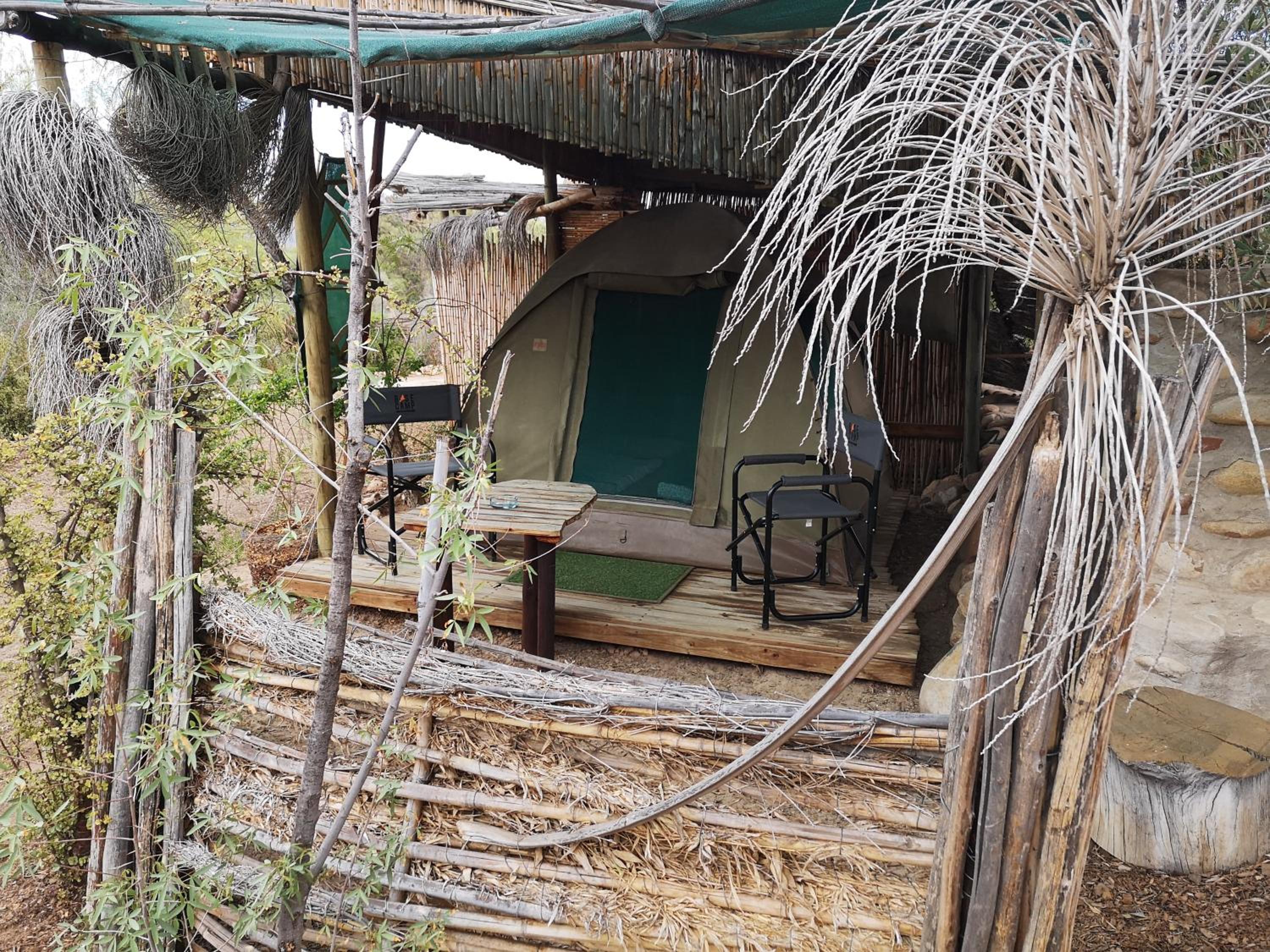 Tent - Photo 3
