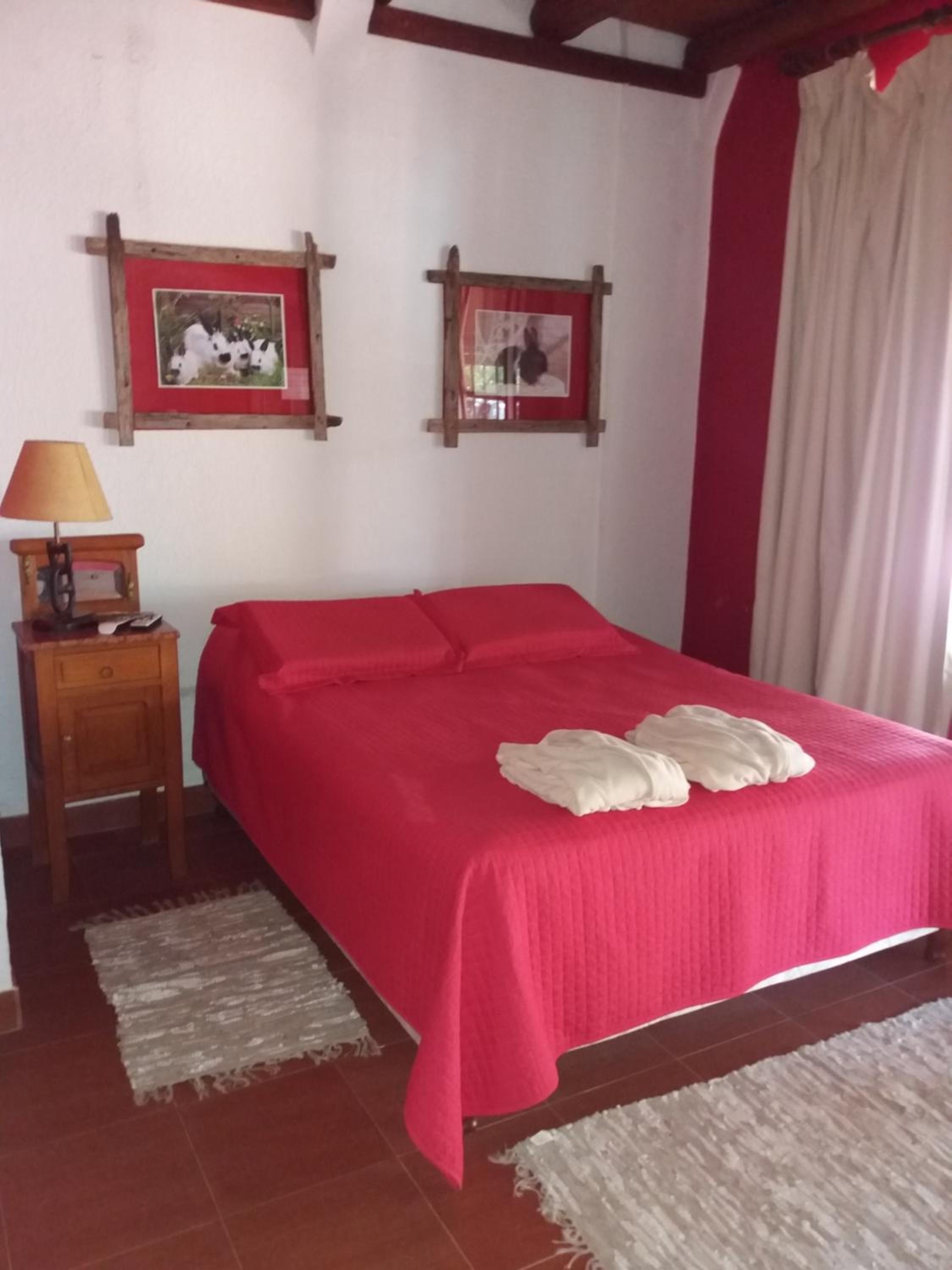 Queen Room photo 1