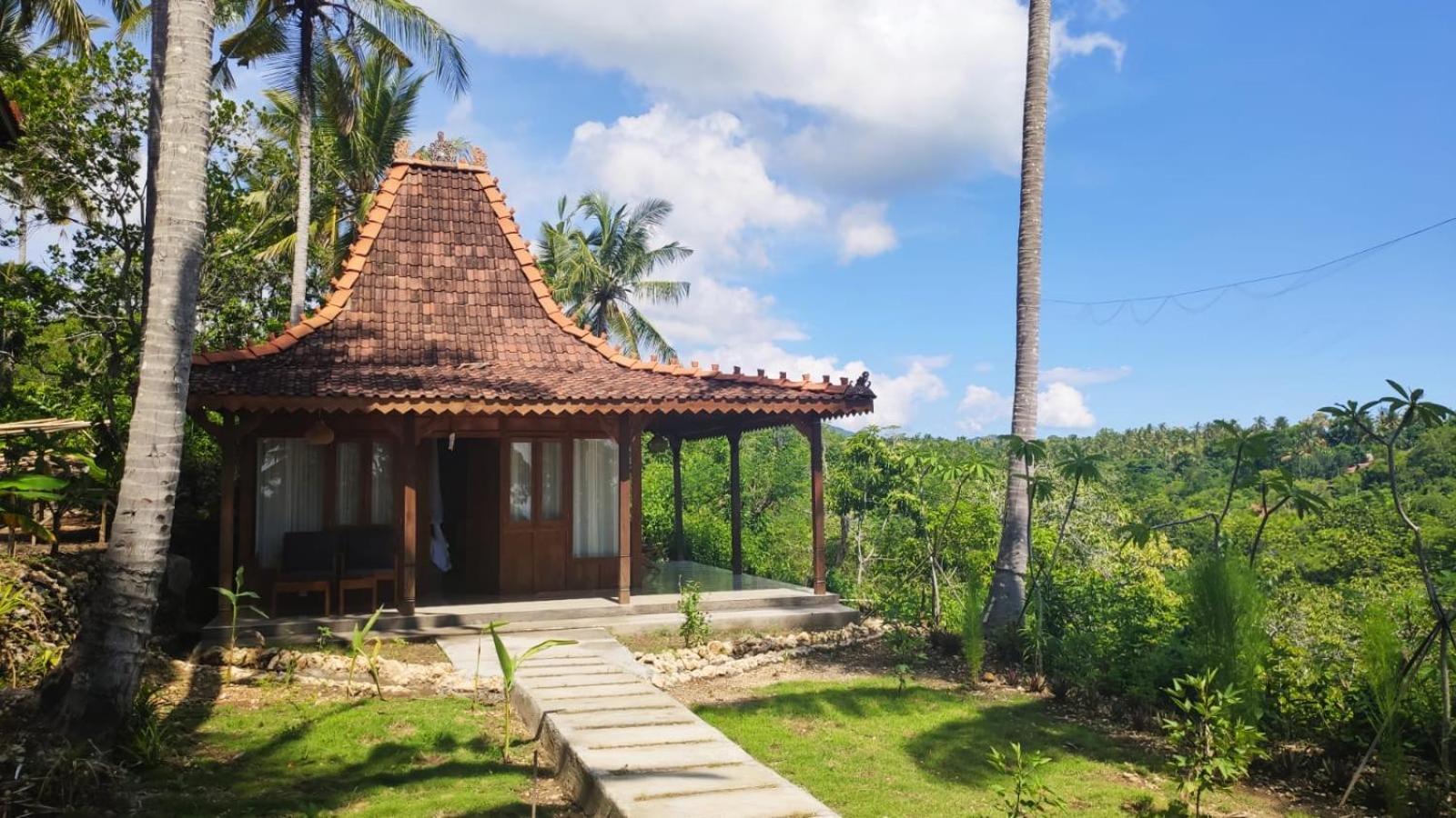 Deluxe Bungalow with Sea View - Photo 8