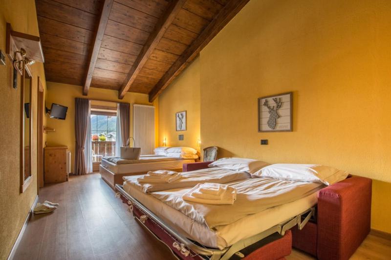 Standard Quadruple Room - Photo 1