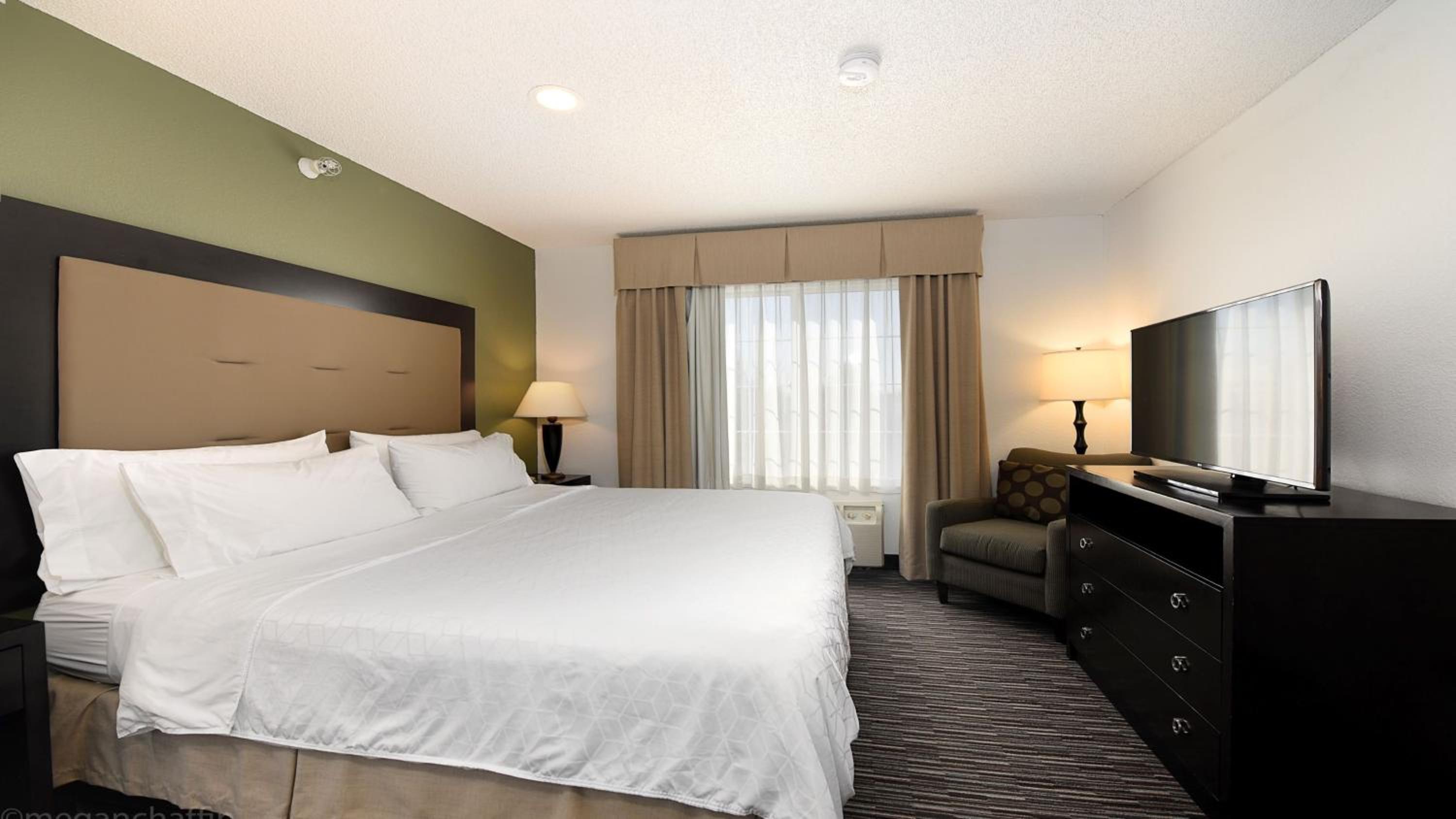 One-Bedroom Suite - Photo 5