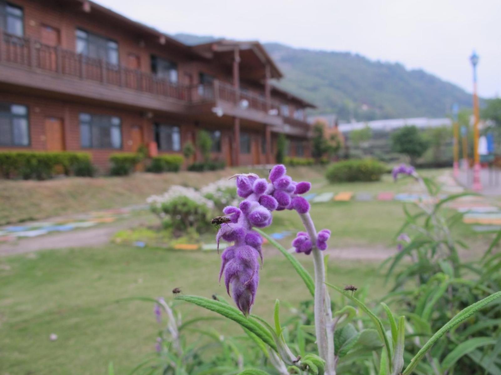 Quadruple Room with Mountain View - Photo 5
