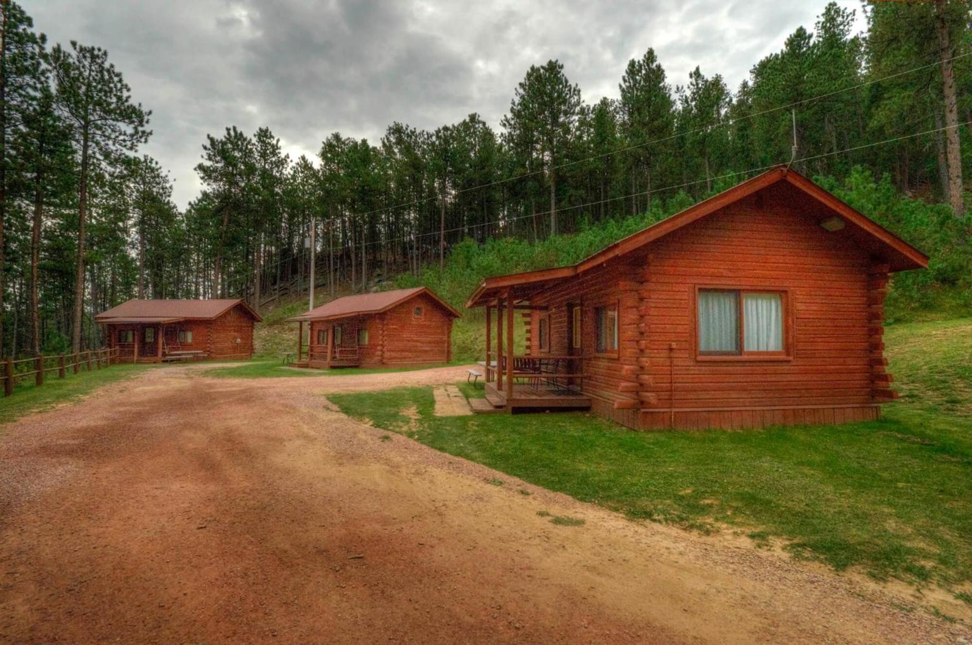 Deluxe Family Cabin photo 3