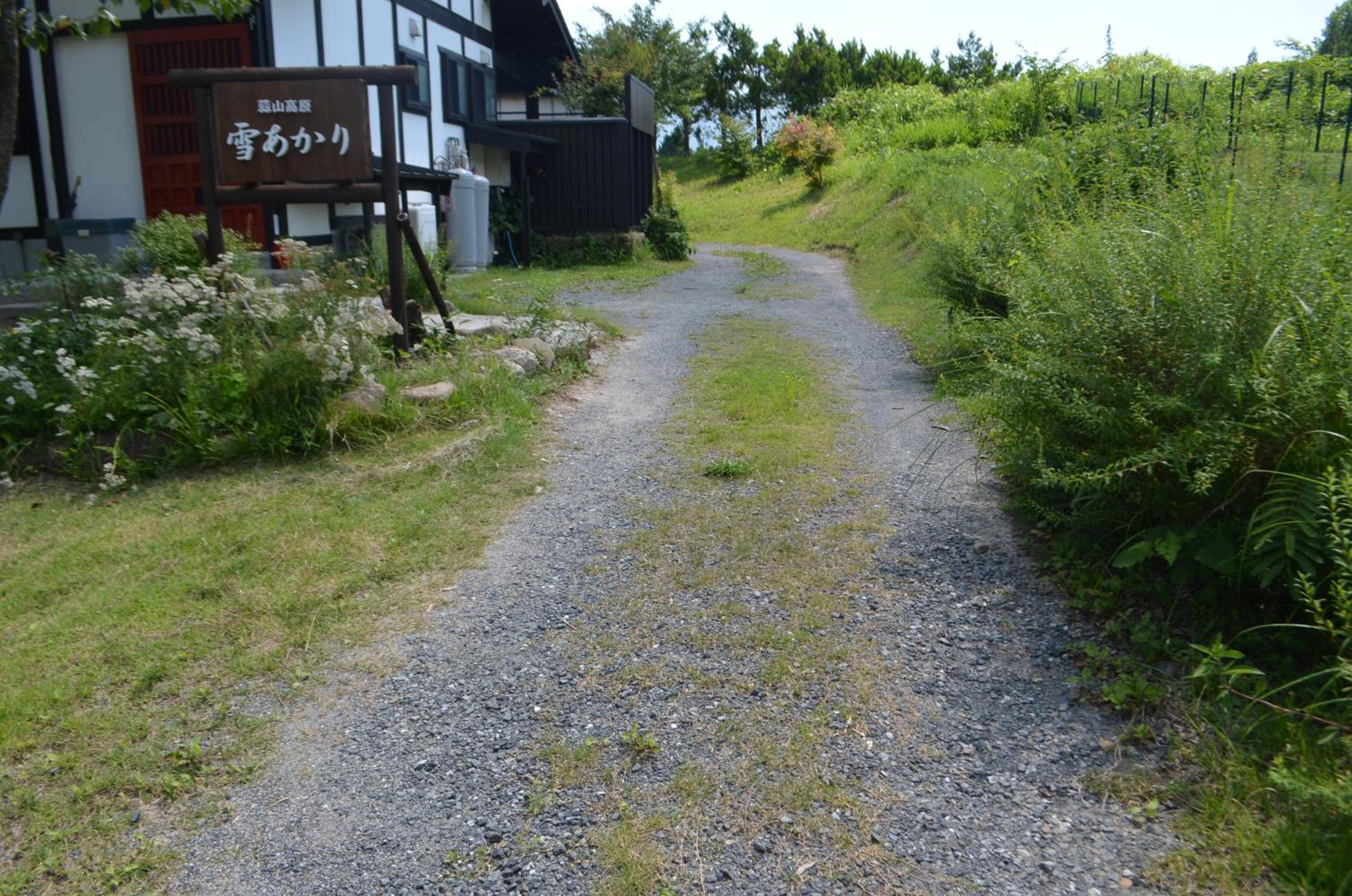 Yukiakari Murasaki (12 Adults)  - Photo 5