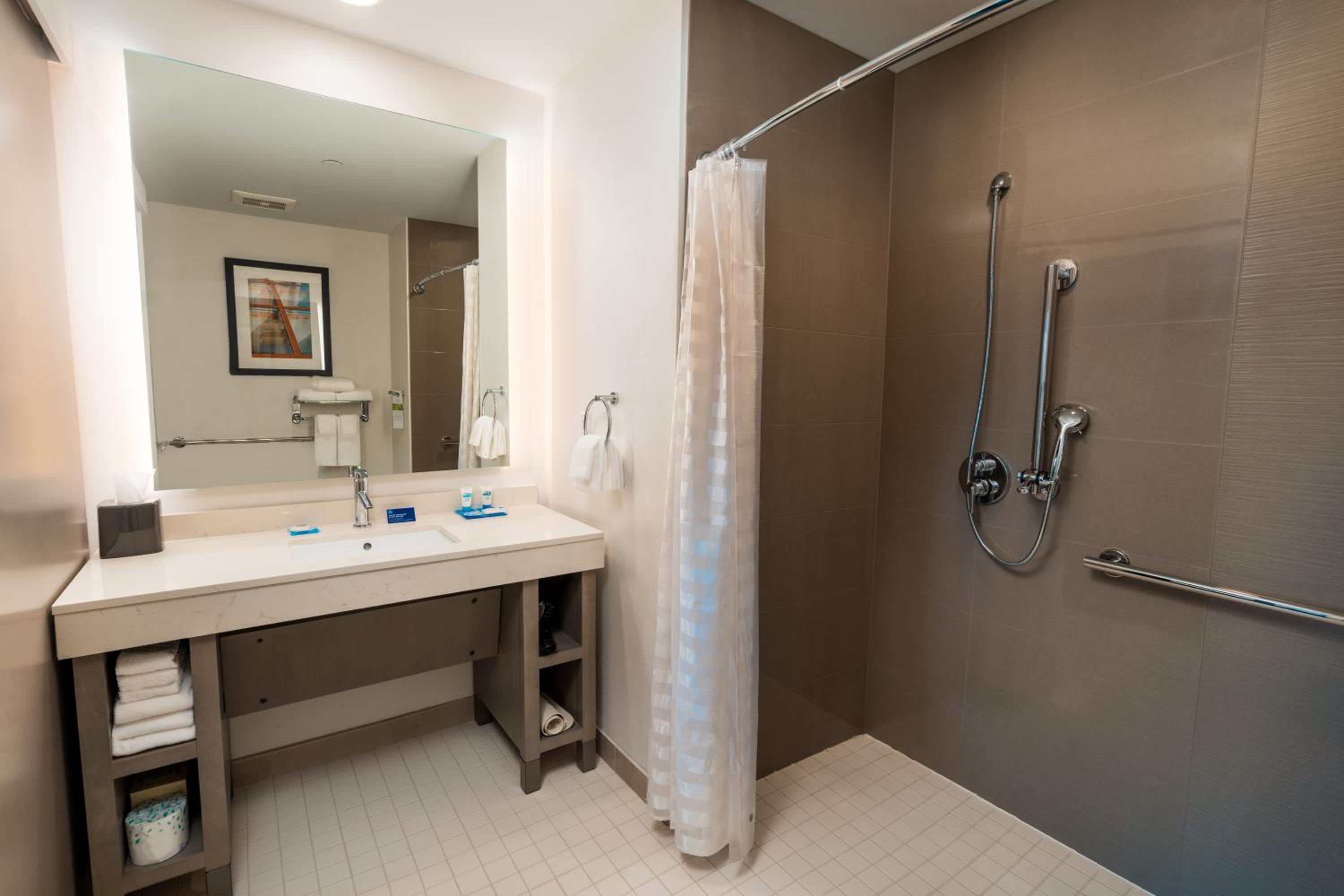 King Studio Suite with Sofa Bed, Kitchen and Roll-In Shower - Disability Access - Photo 4