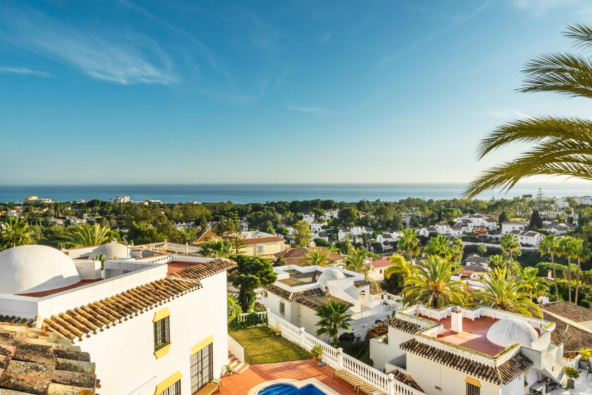 Villa with Sea View photo 3
