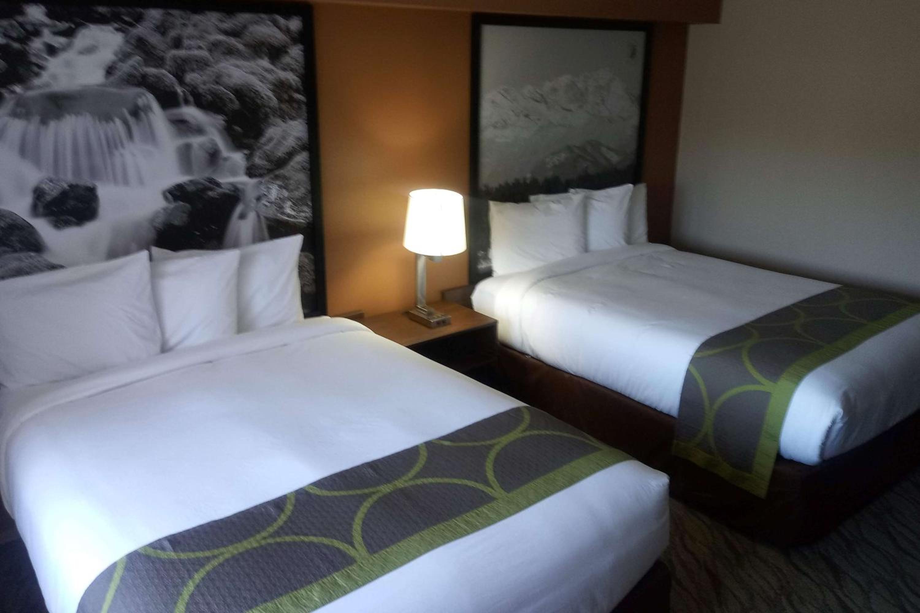 Queen Room with Two Queen Beds - Mobility Access/Non-Smoking - Photo 1