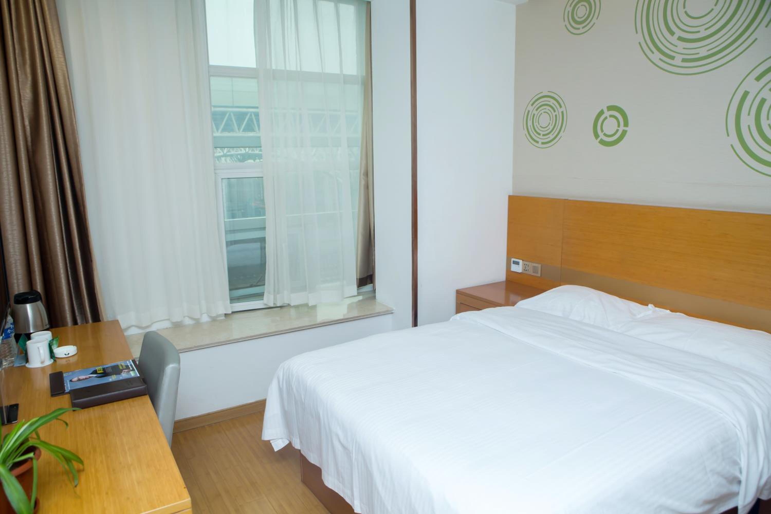 Single Room photo 3