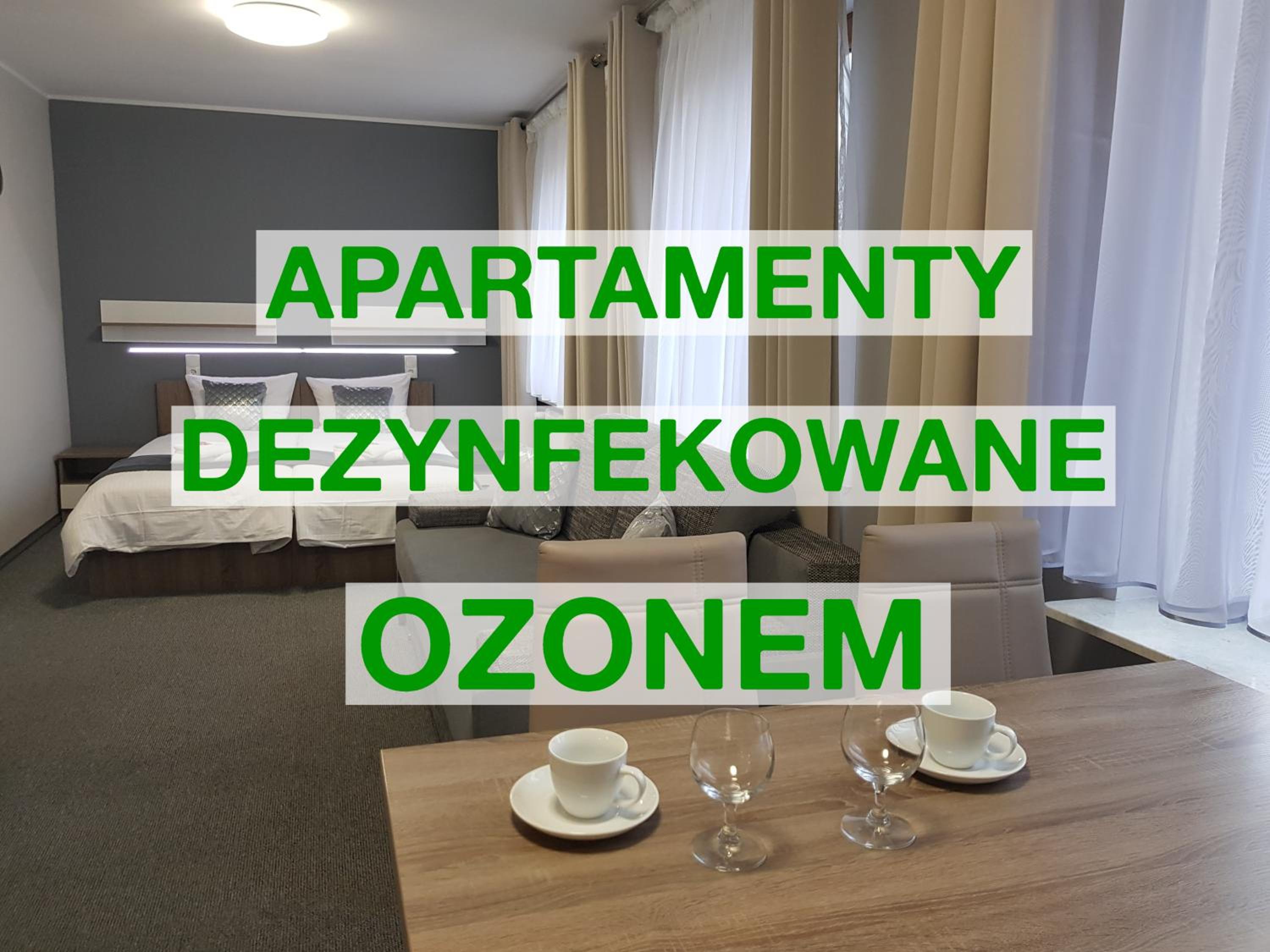 Apartment 2 - Photo 9