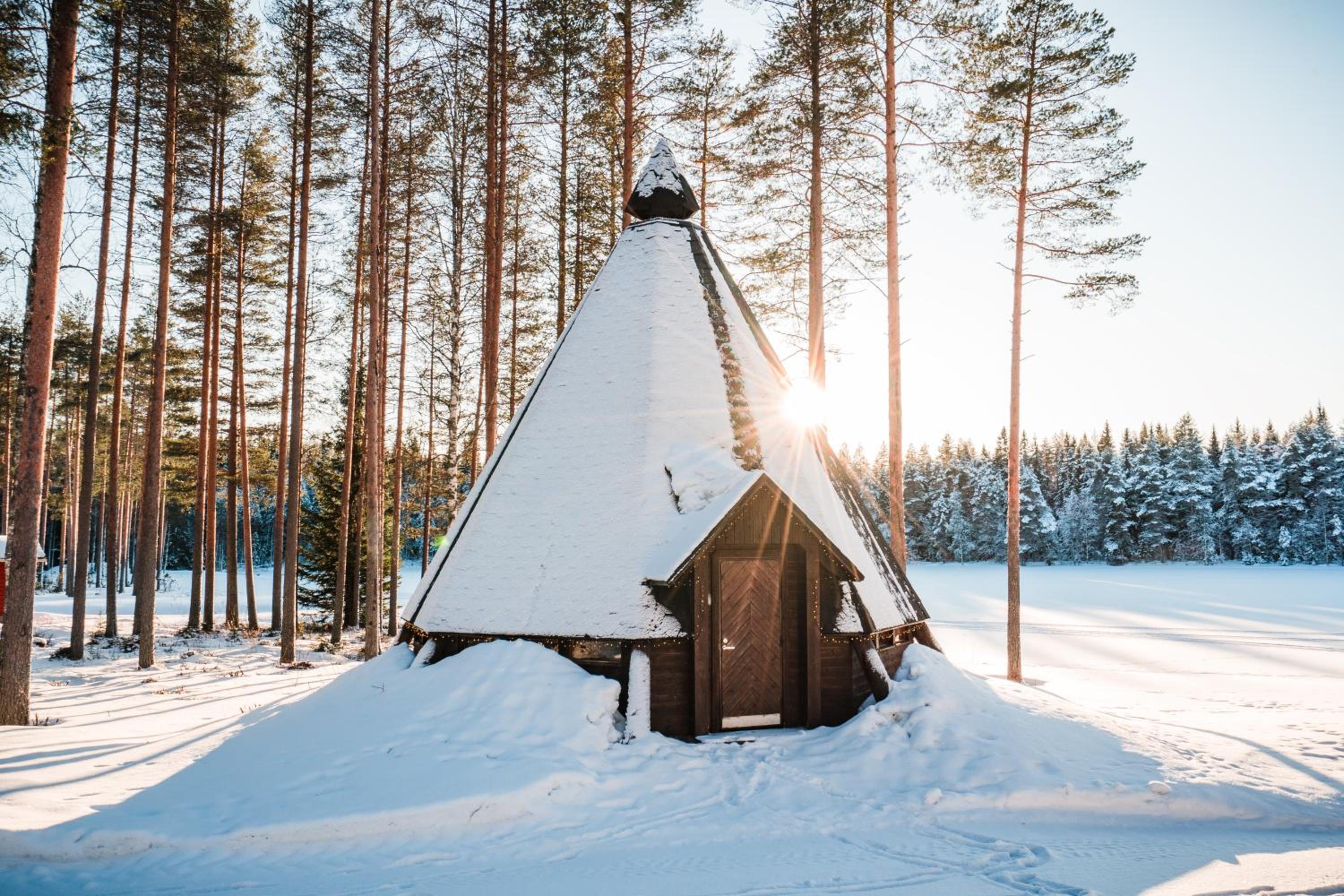 Two-Bedroom Cottage with Sauna photo 1