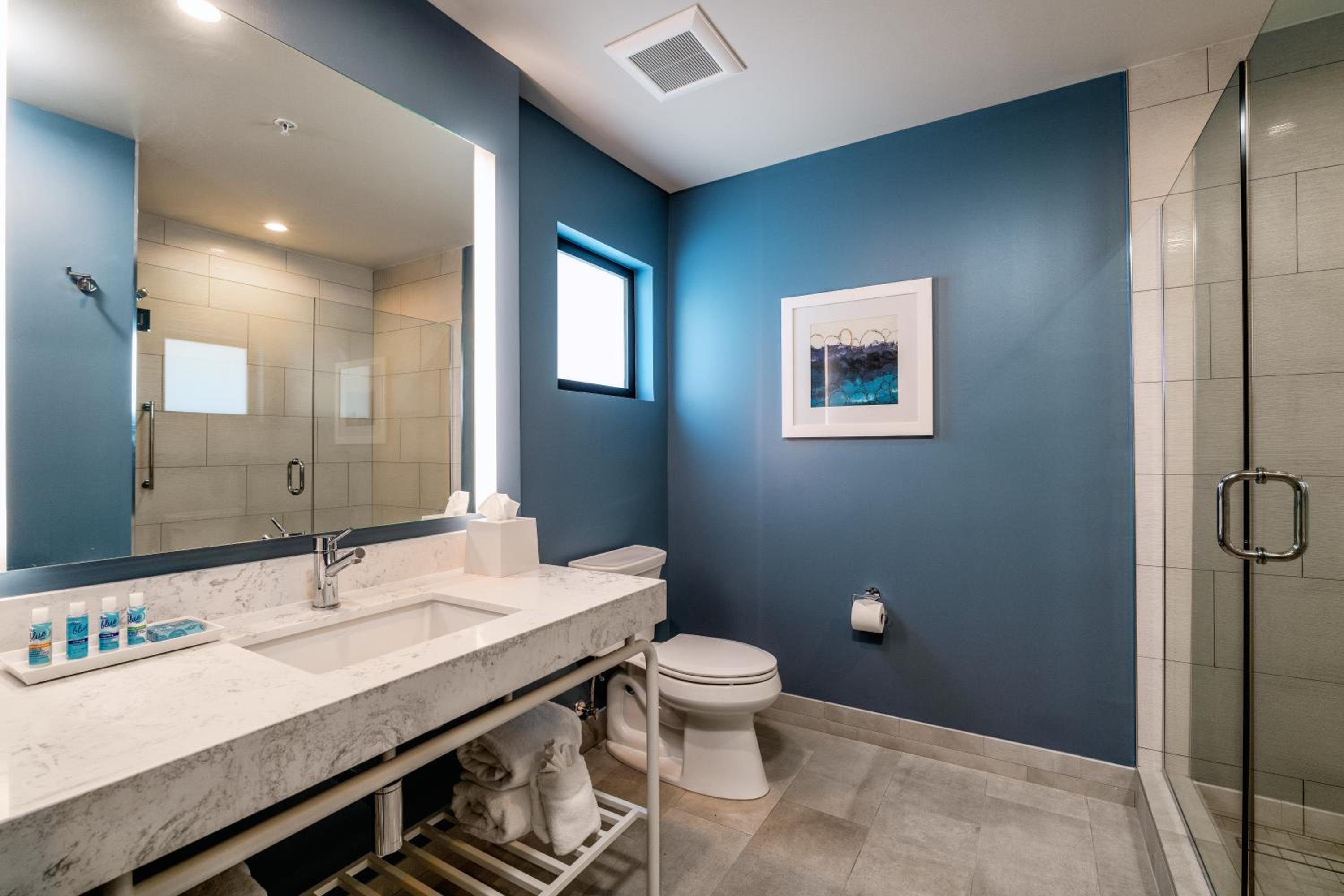 Deluxe King Suite - Photo 15