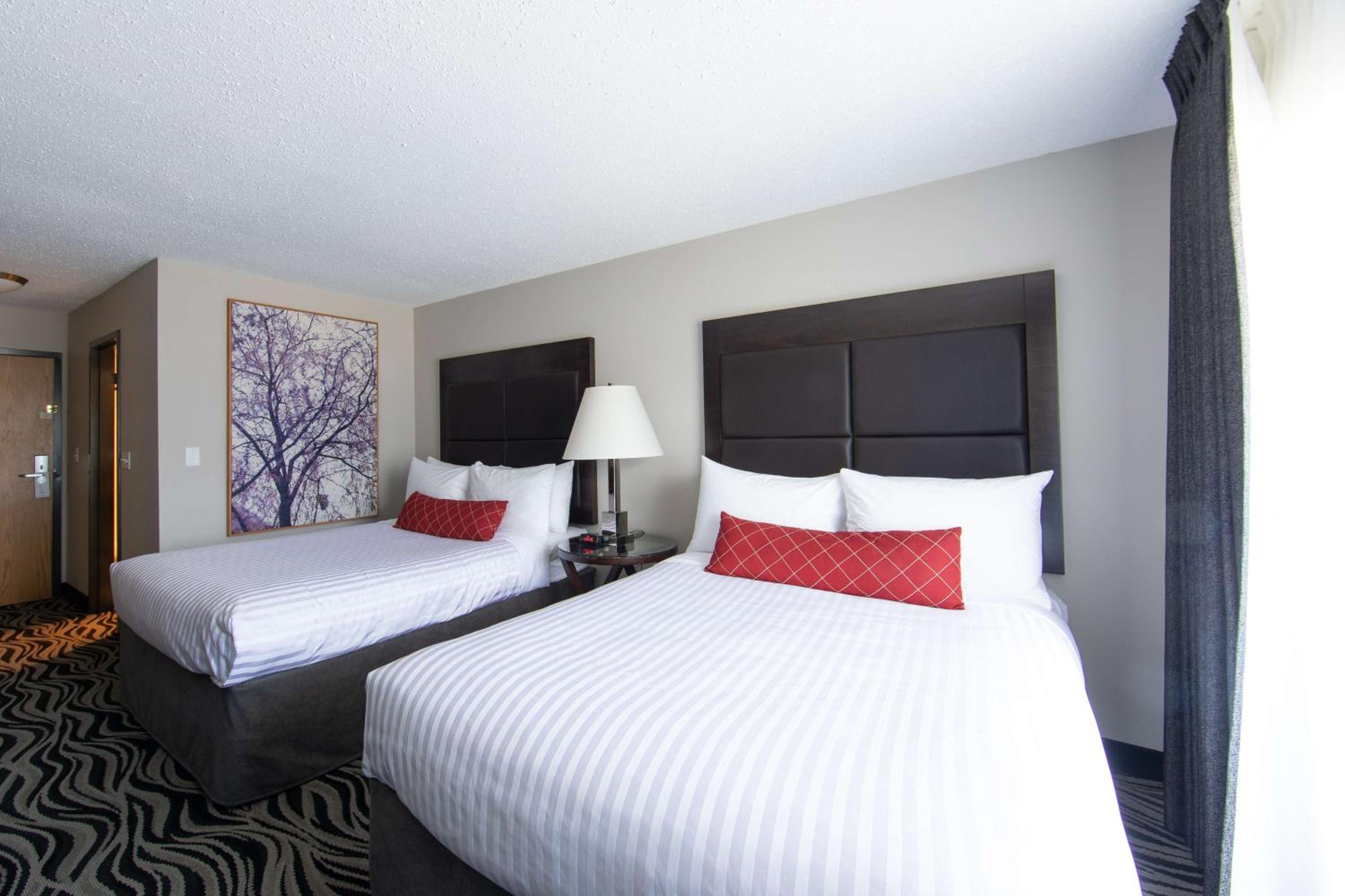 Queen Room with Two Queen Beds and Work Desk - Second Floor/No Pets Allowed/Non-Smoking - Photo 3