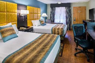 Queen Room with Two Queen Beds and Roll-In Shower - Mobility Access/Non-Smoking photo 1