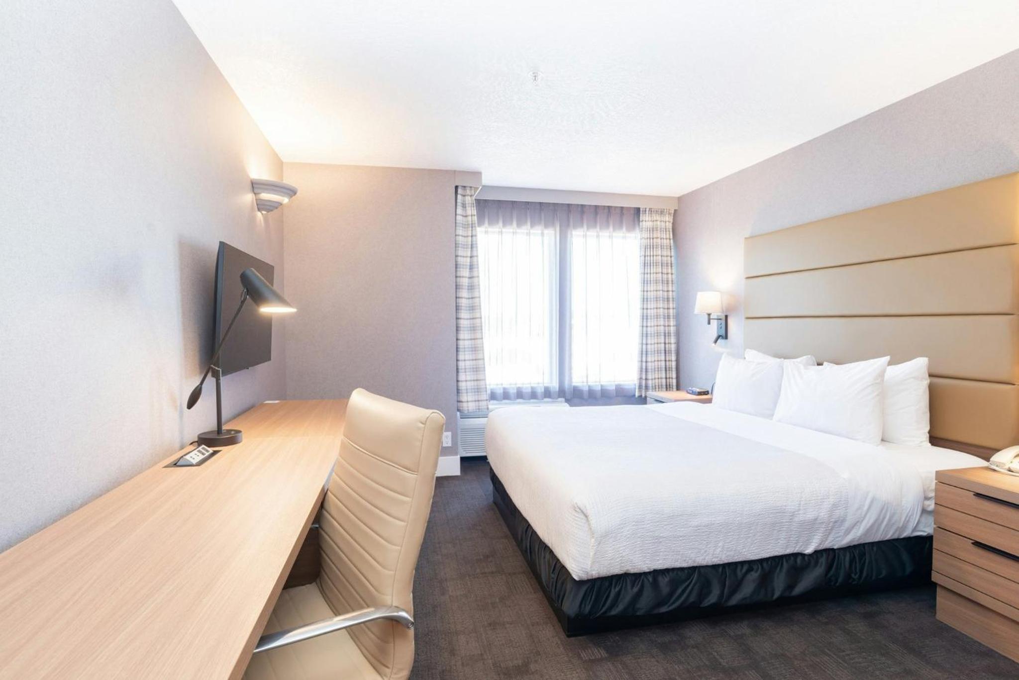 Standard Room, 1 King Bed