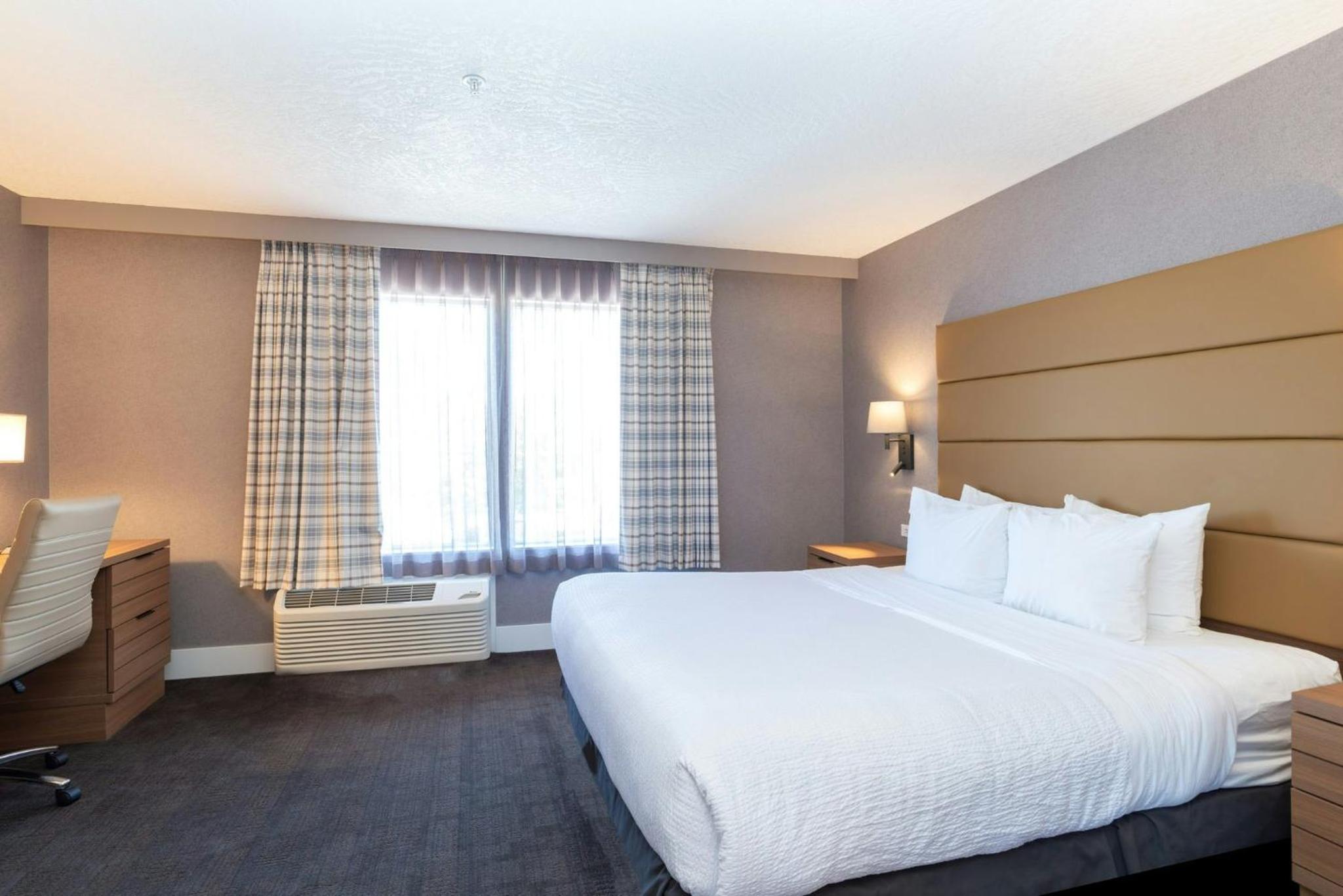 Standard Room, 1 King Bed, Sofa Bed