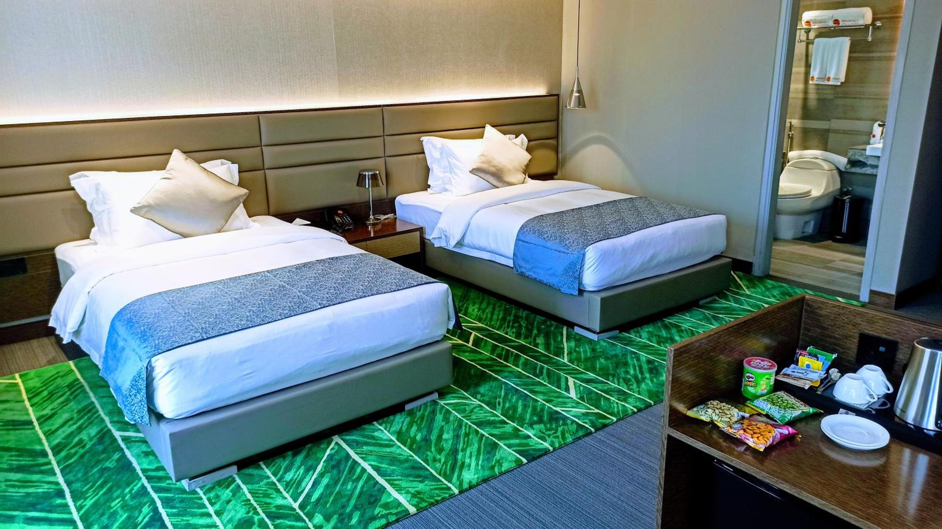 Premium Twin Room photo 1