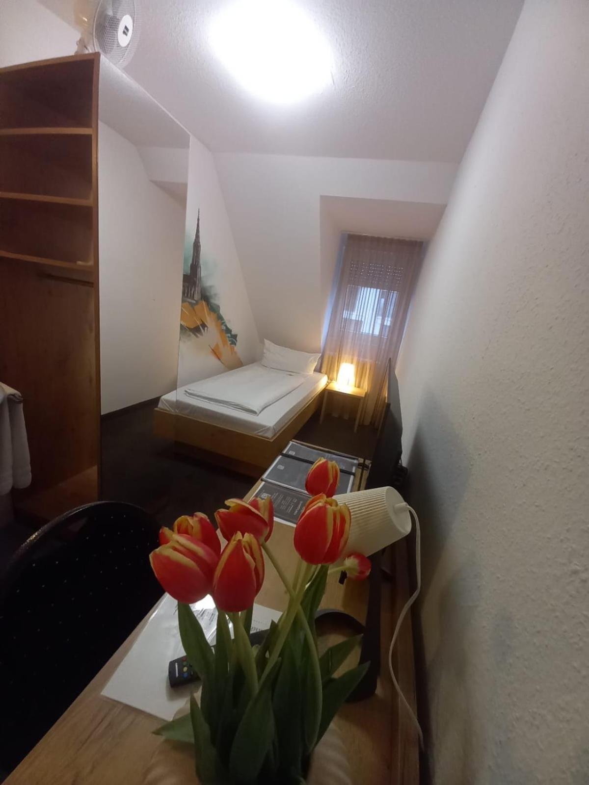 Budget Single Room