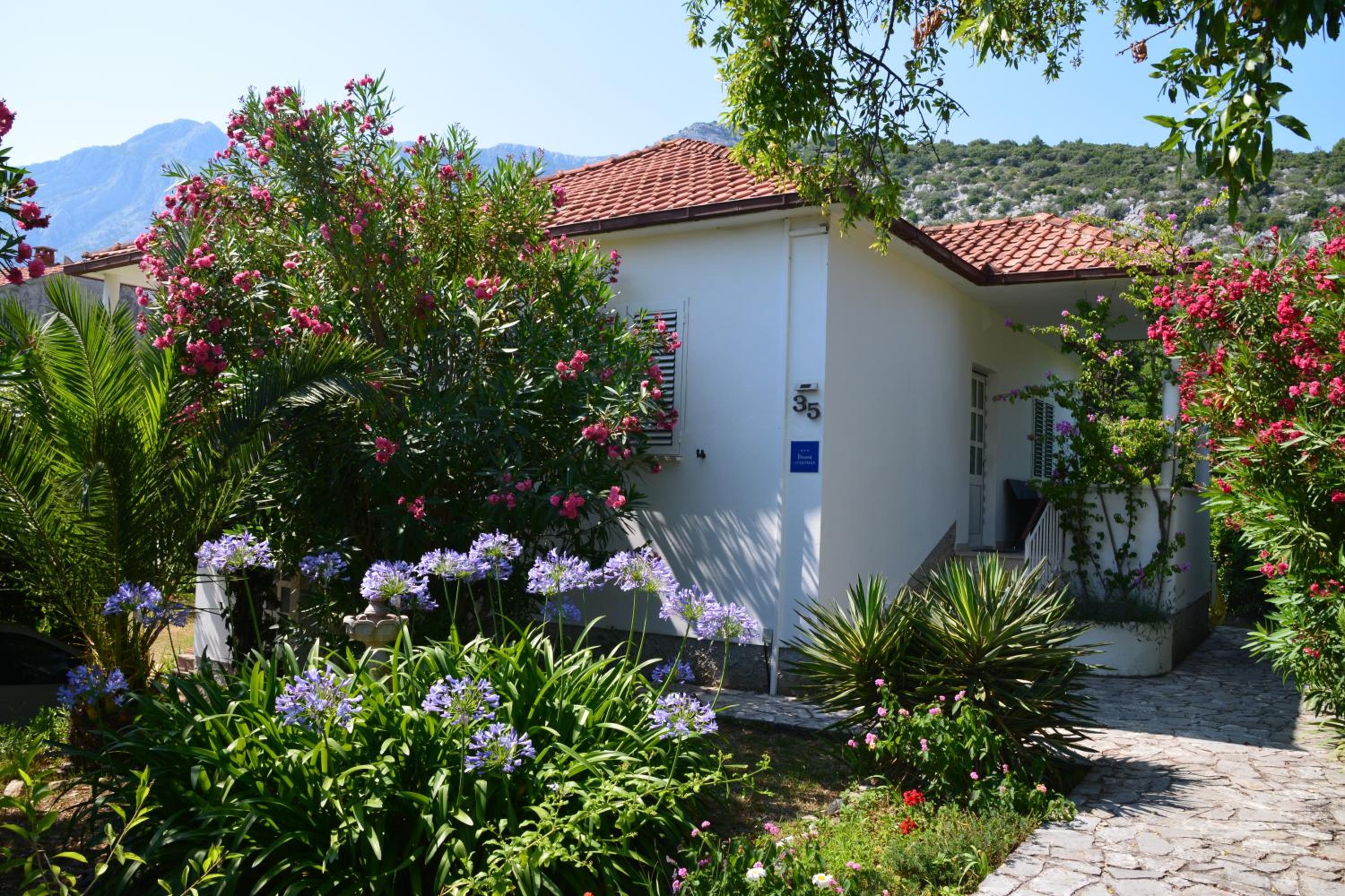 Vacation Home photo 3