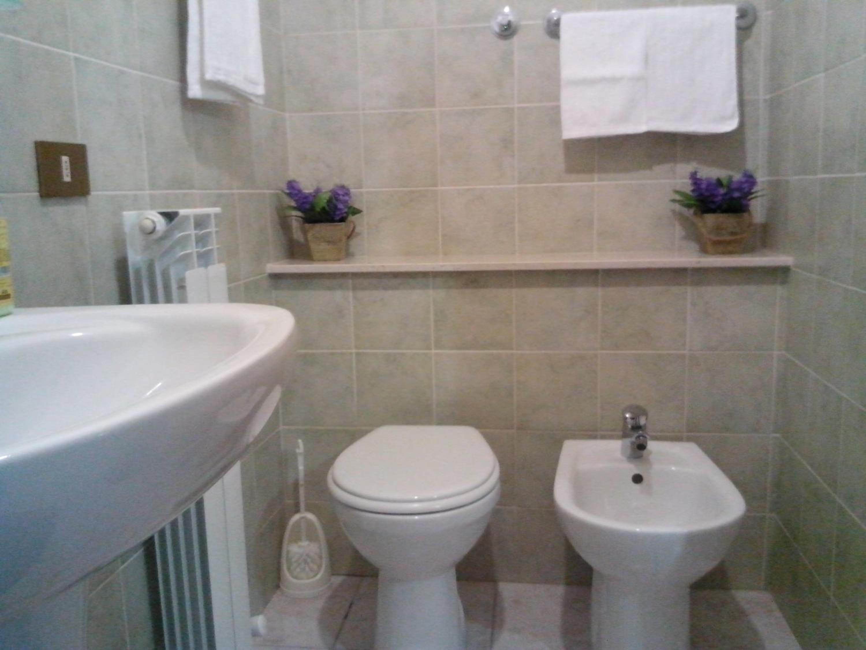 Double or Twin Room photo 1