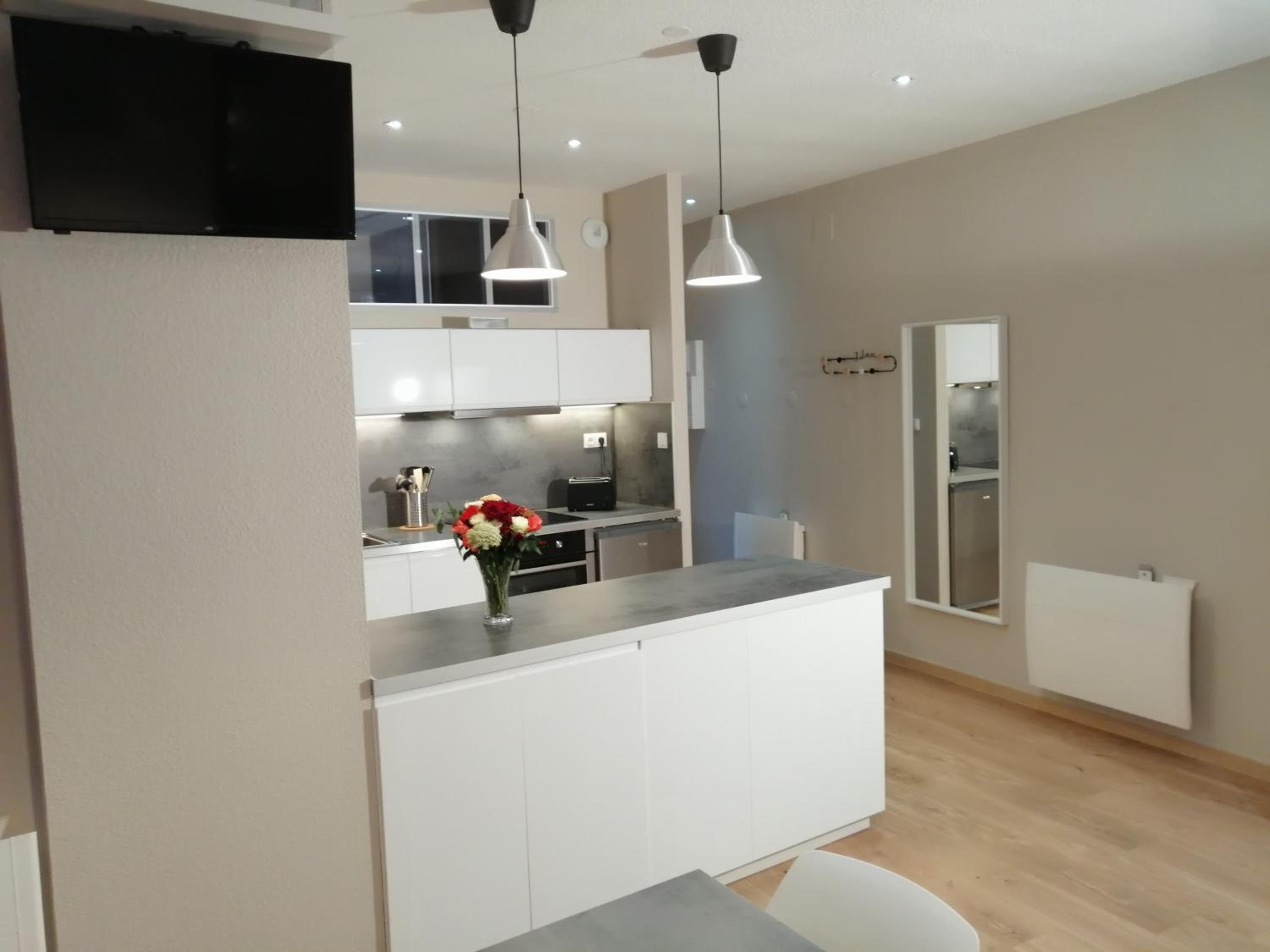 Standard Apartment photo 3