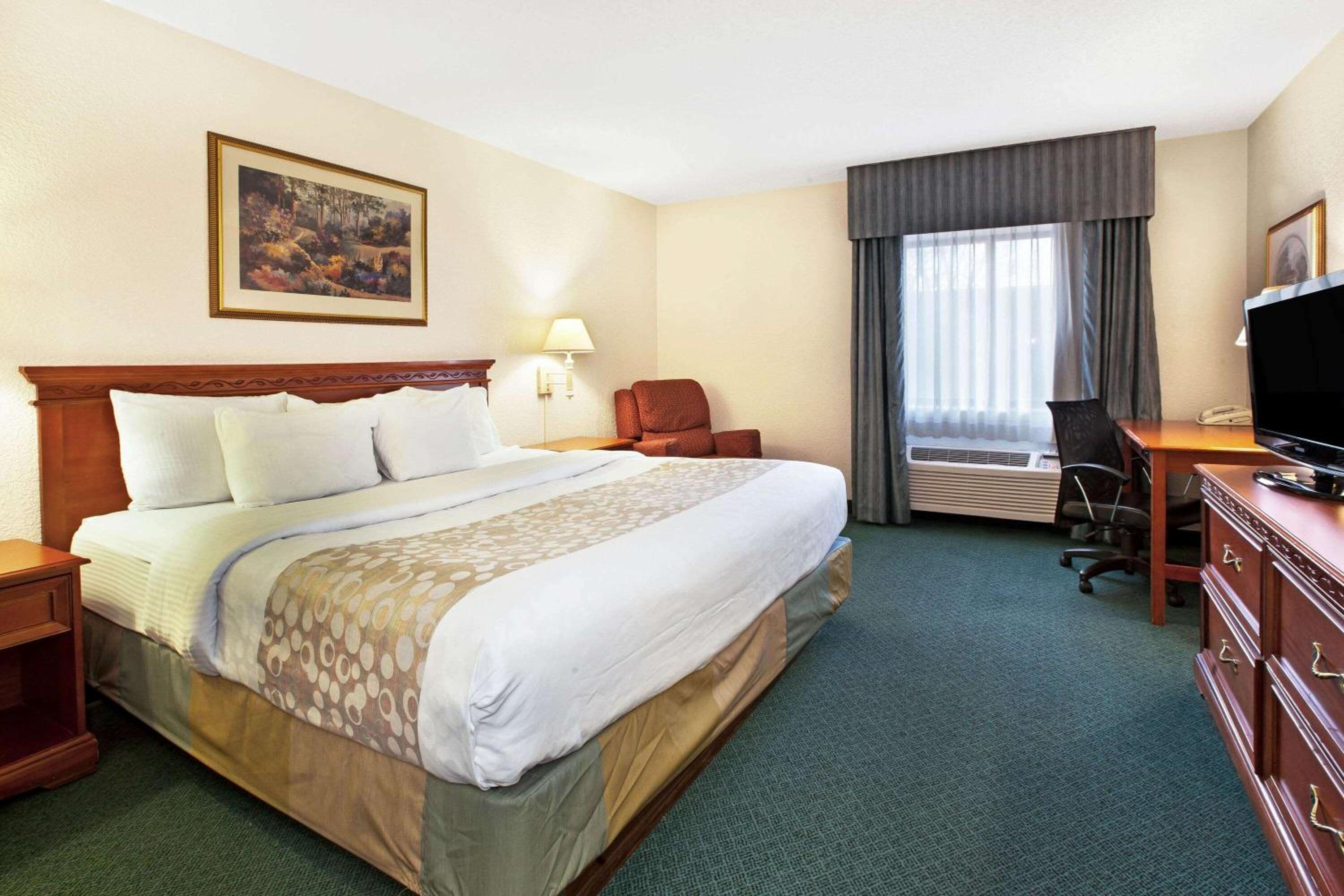 King Room photo 1
