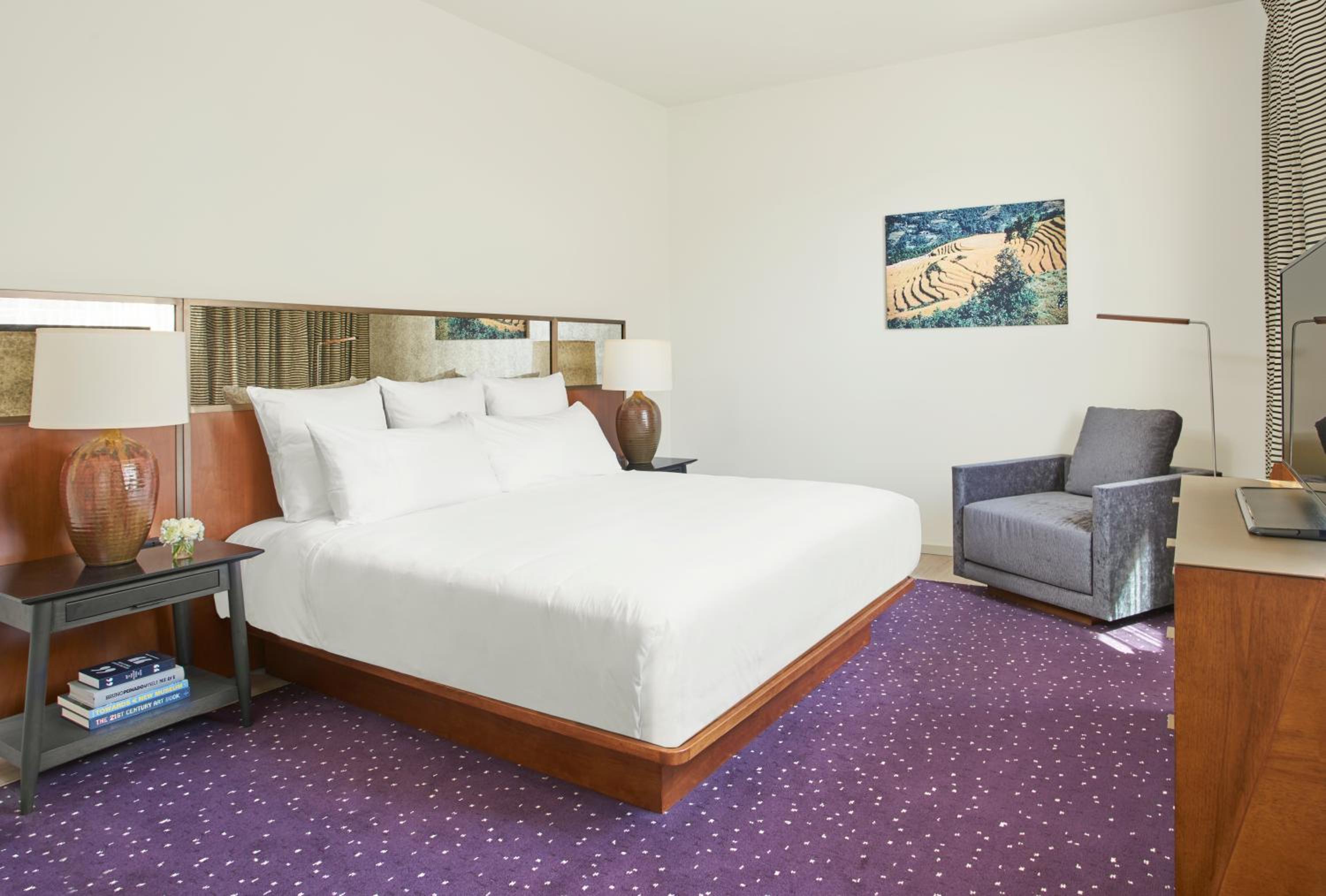 Deluxe One-Bedroom King Suite with City View photo 2