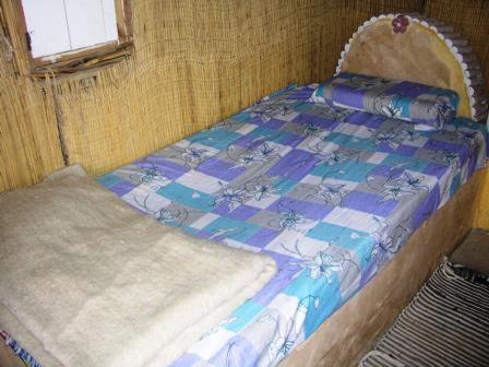 Standard Double or Twin Room photo 1