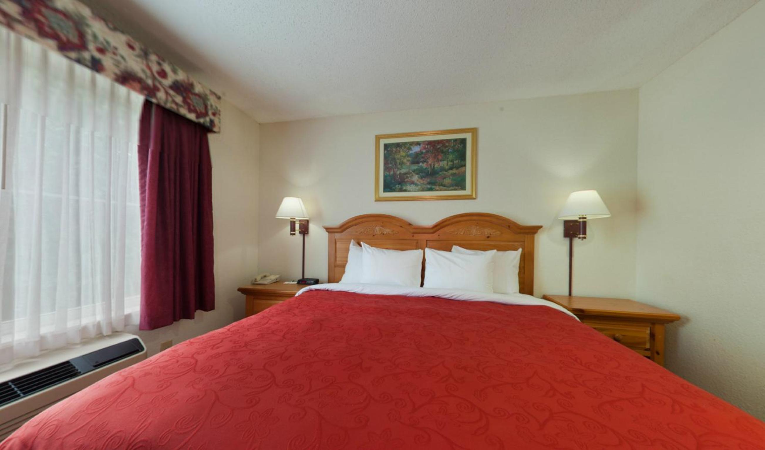 One-Bedroom King Suite with Sofa Bed - Photo 1