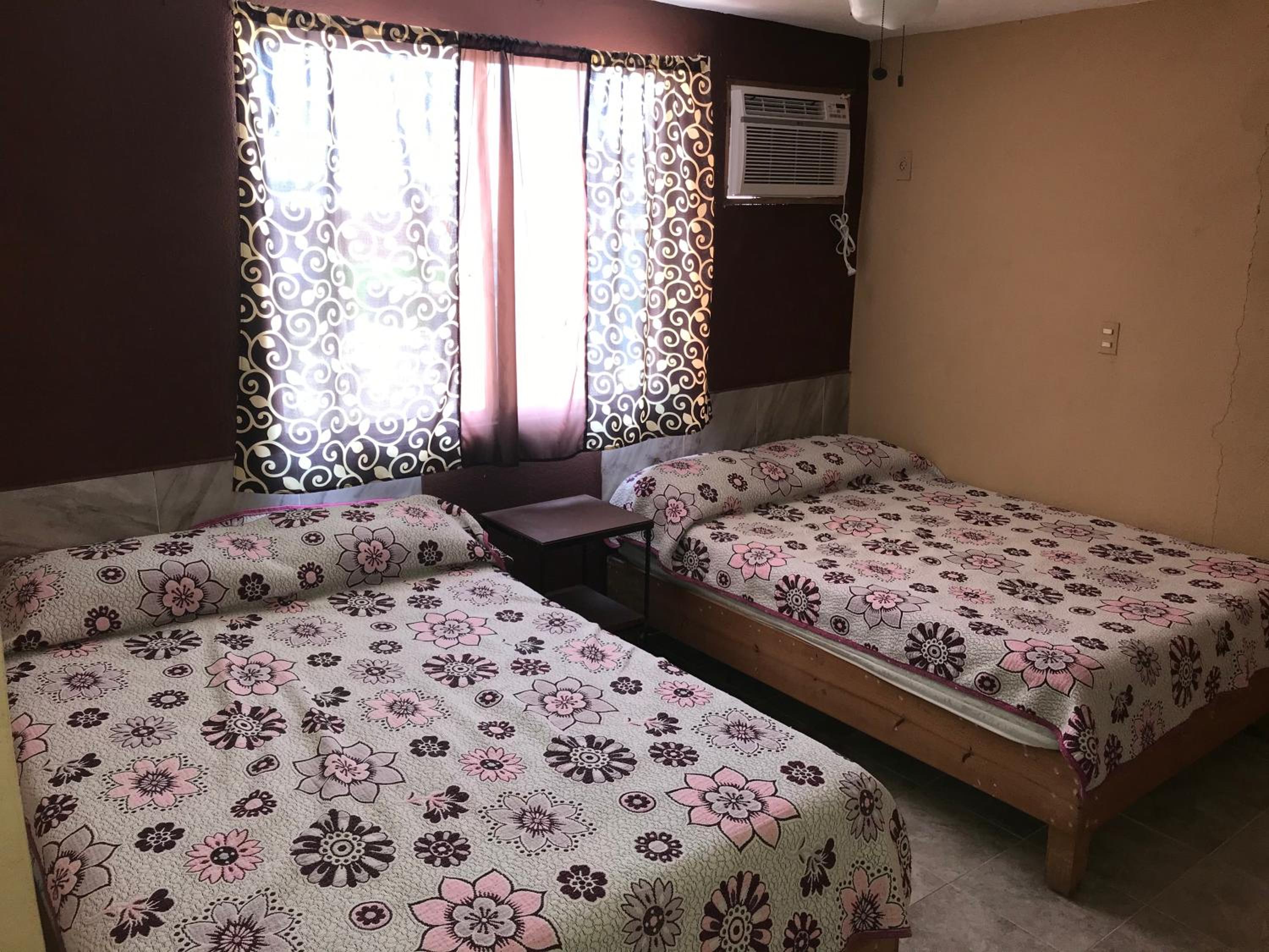 Twin Room photo 1