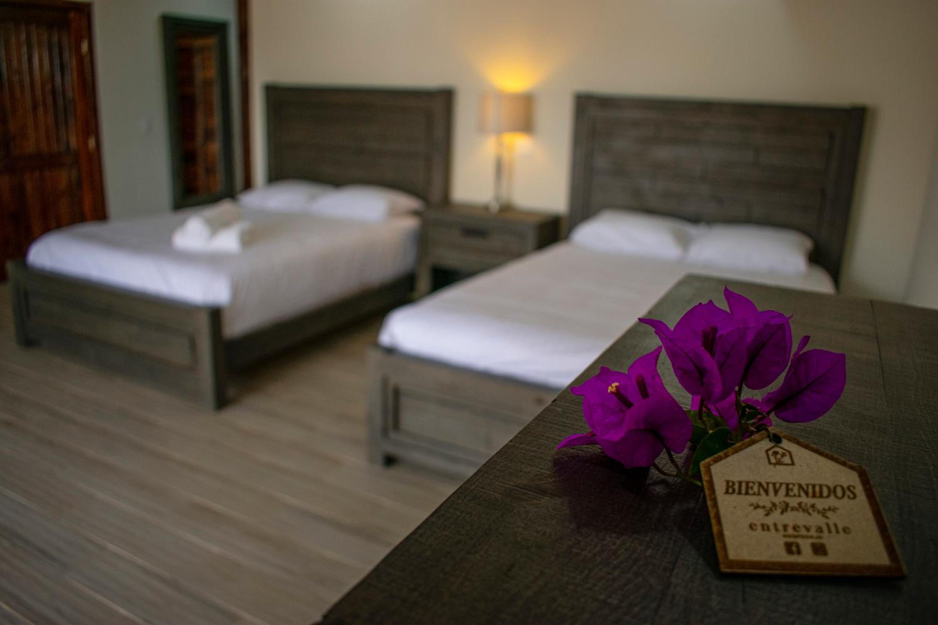 Deluxe Quadruple Room - Photo 4