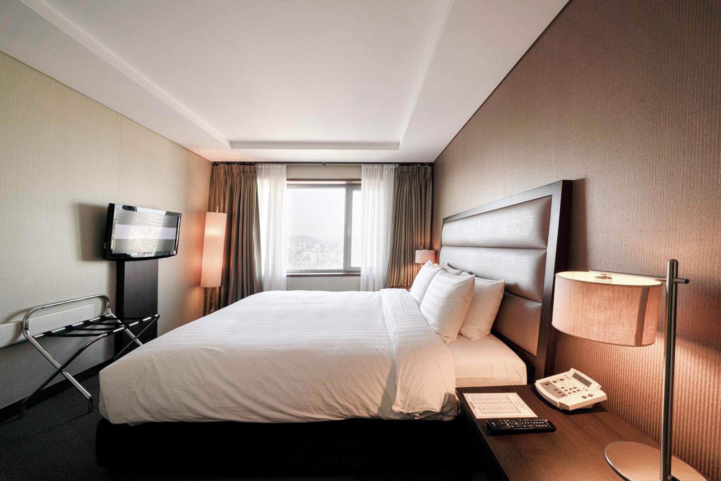 Suite - Photo 3