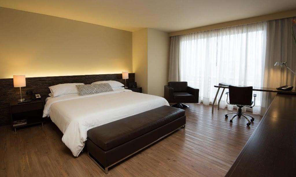 Suite - Photo 4
