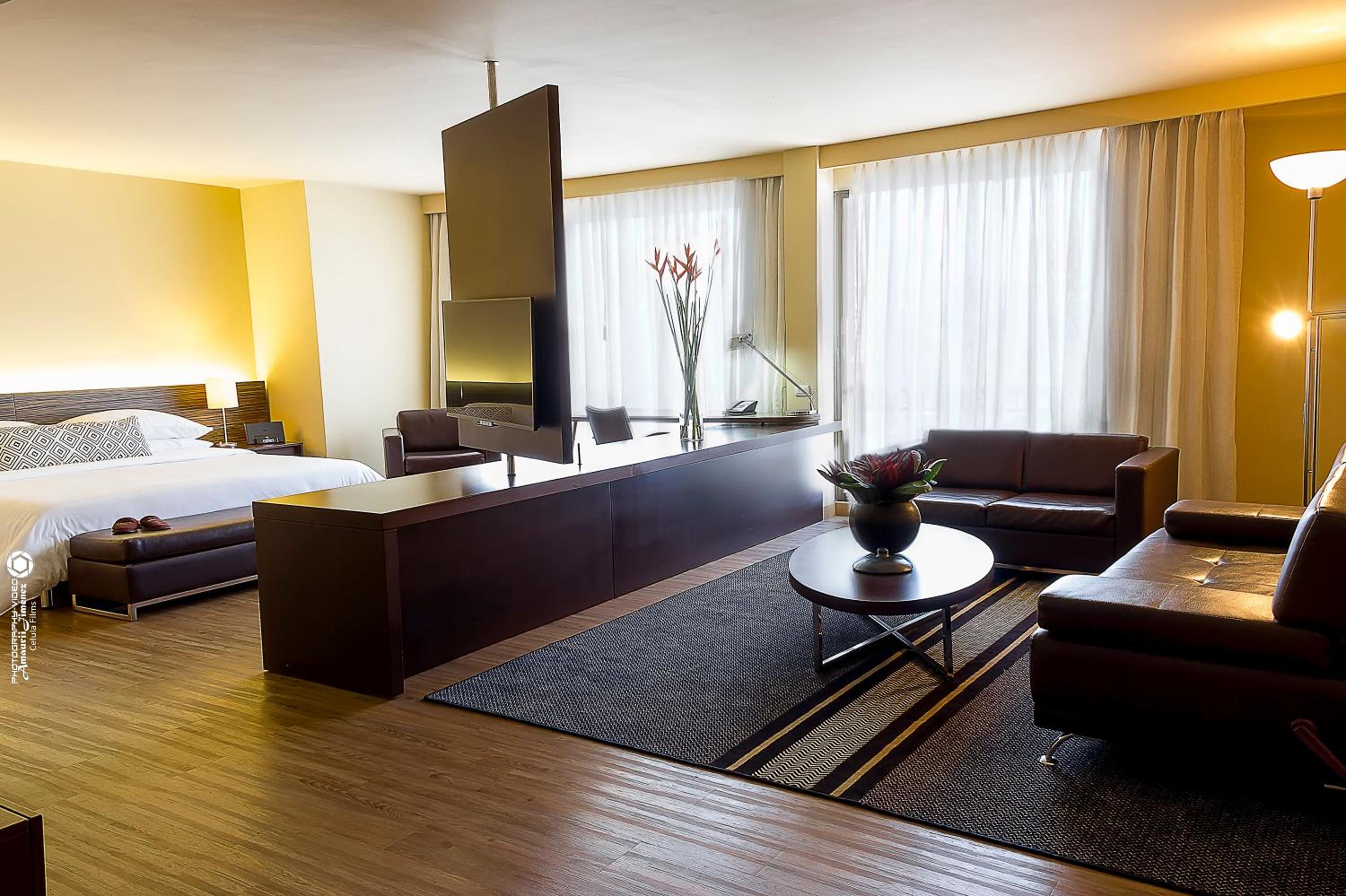 Suite - Photo 3